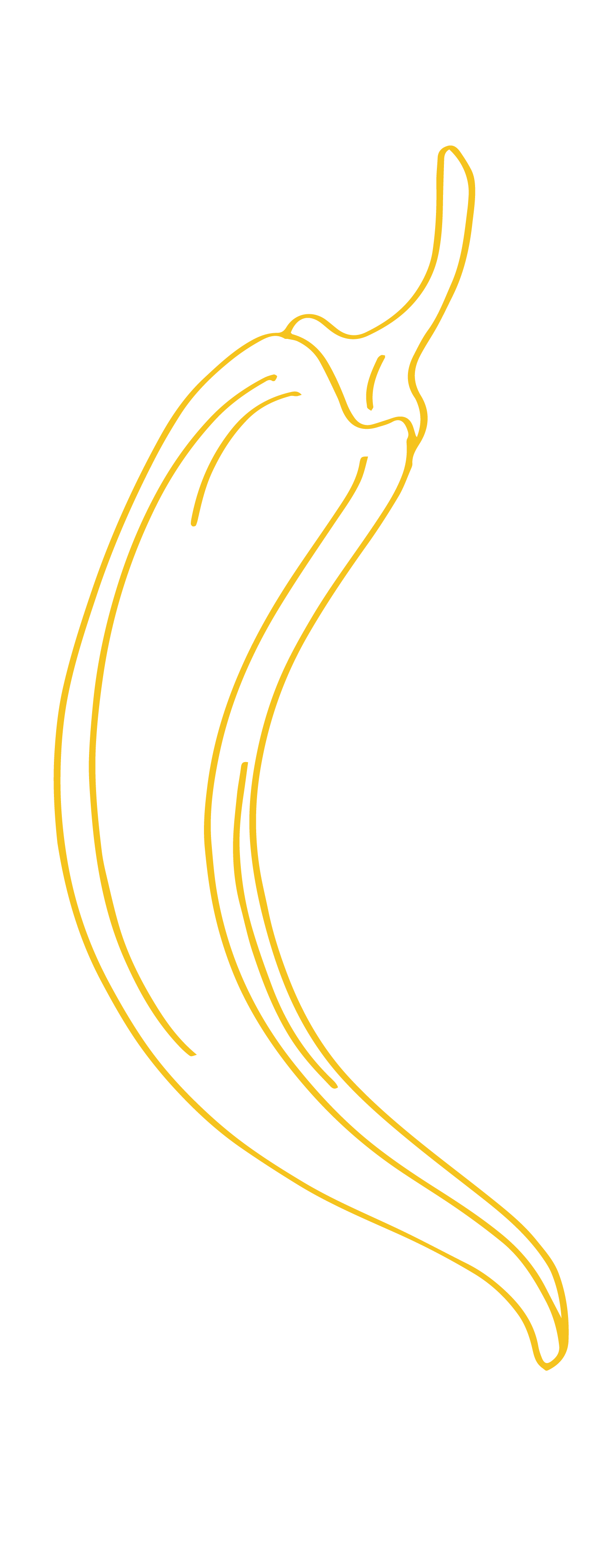 Line drawing of a yellow banana peel with the peel partly removed.