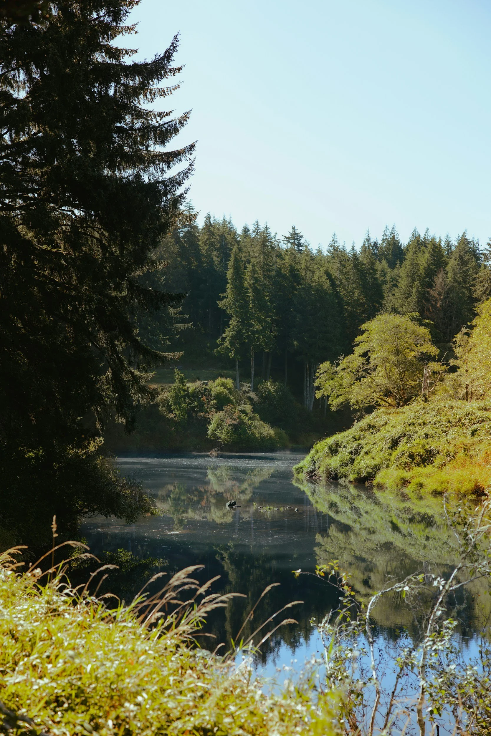 A peaceful river flowing through a forest with tall trees on both sides, mirrored in the calm water under a clear blue sky.