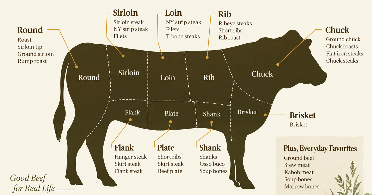 Diagram of a cow with labels showing different cuts of beef, including round, sirloin, loin, rib, chuck, flank, plate, shank, brisket, and their subcategories.