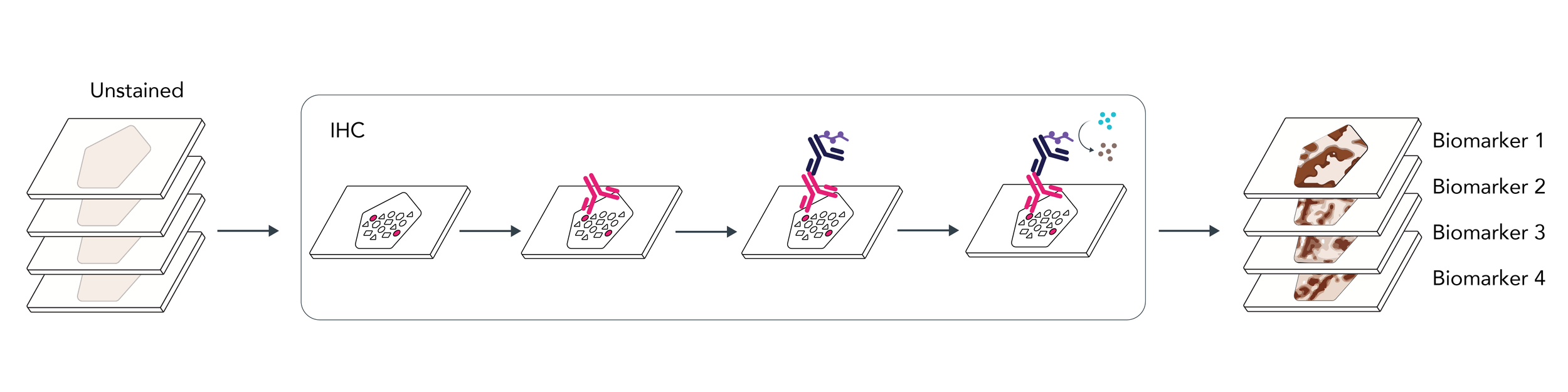 Traditional IHC workflow: one section, one stain, one biomarker at a time