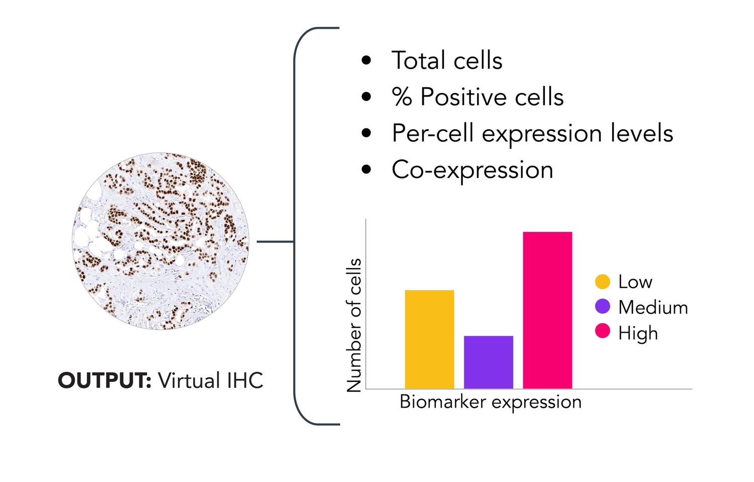 Quantification: virtual IHC with per-cell expression chart