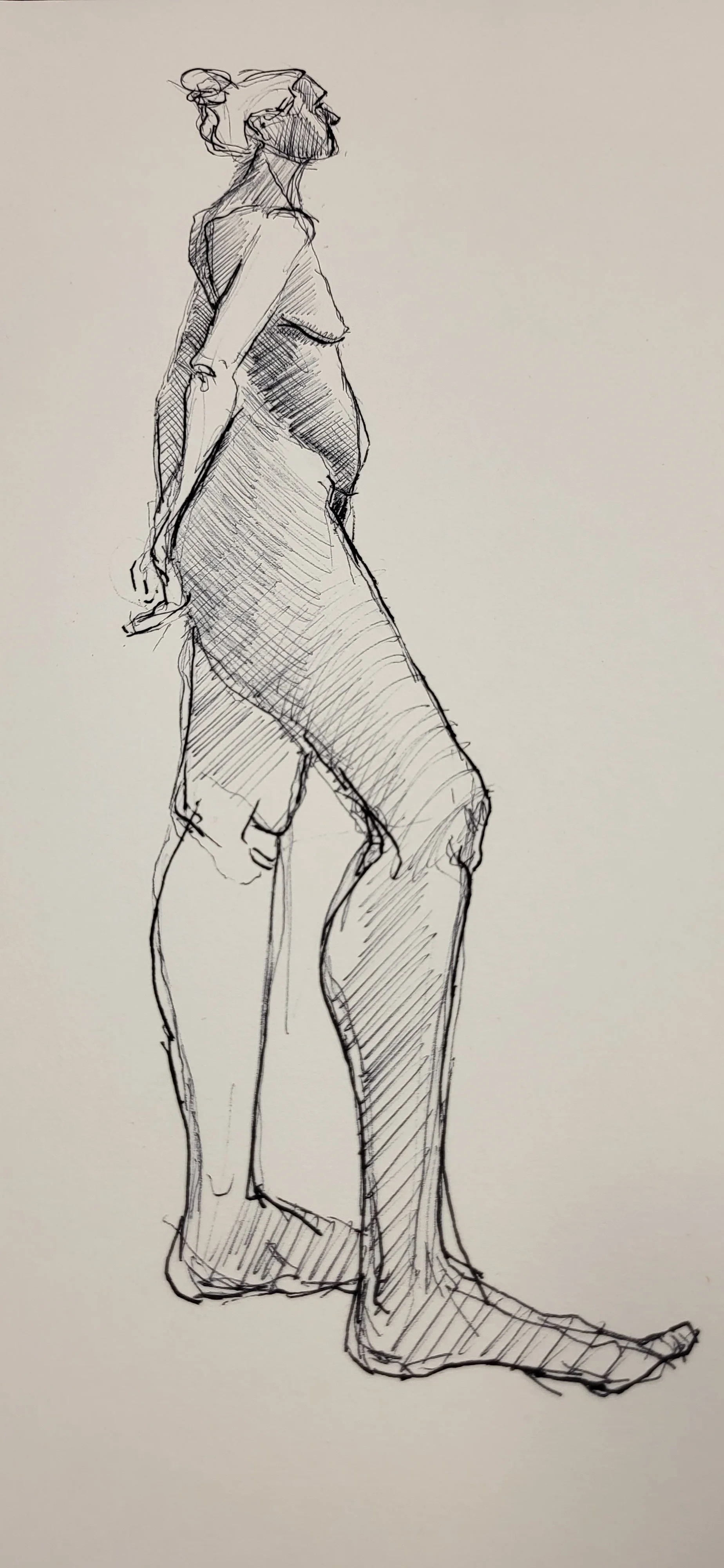 ink_© 2026 Donna S Moore_20240311_114222.jpg
