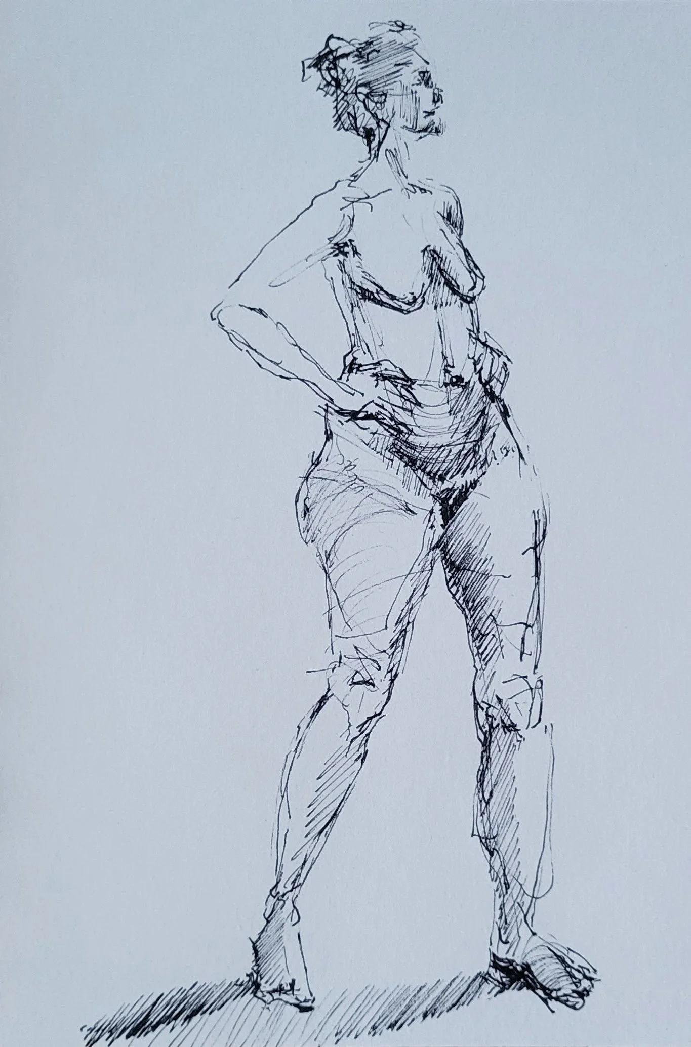 ink_© 2026 Donna S Moore_20250104_163728.jpg