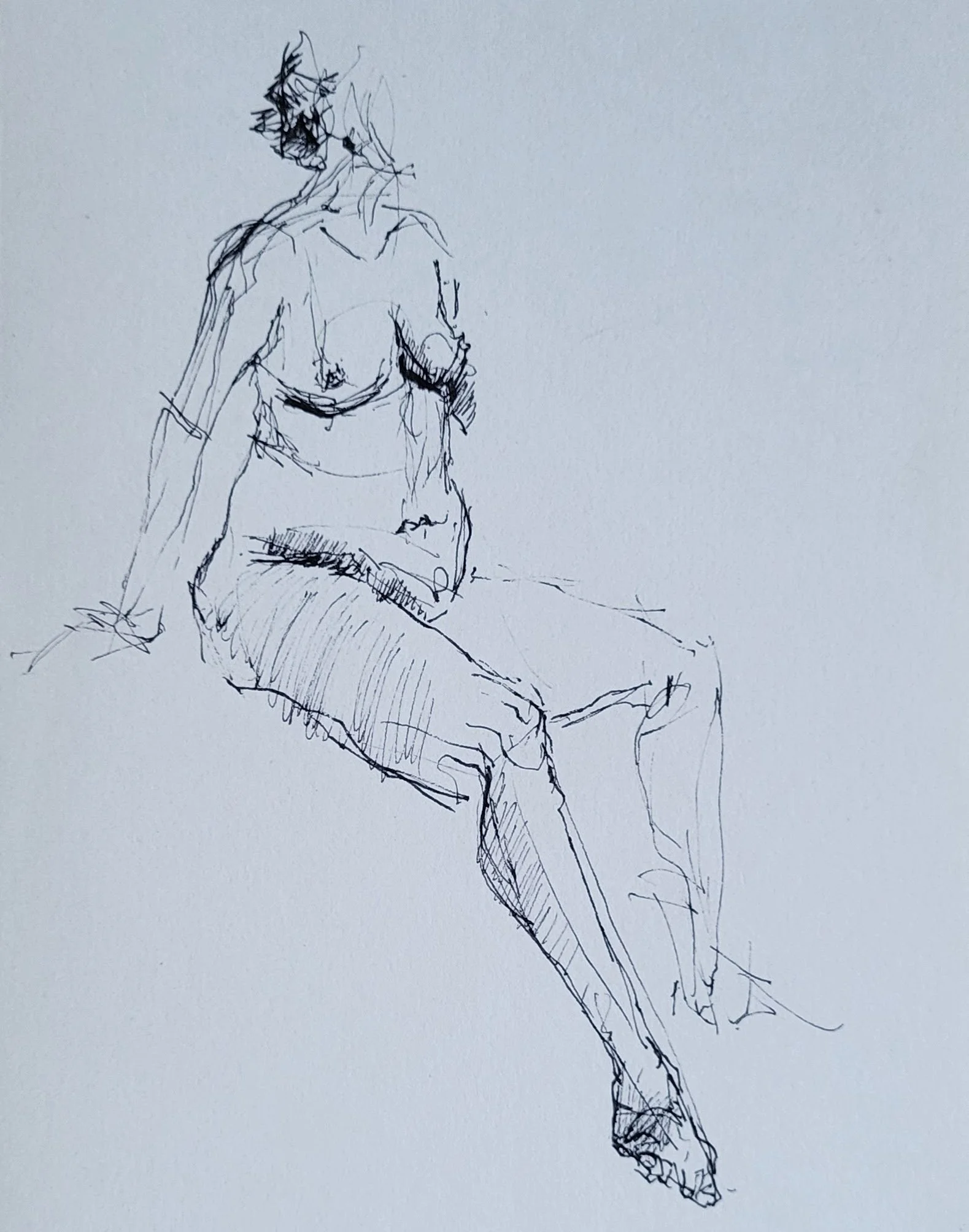 ink_© 2026 Donna S Moore_20250104_163112.jpg