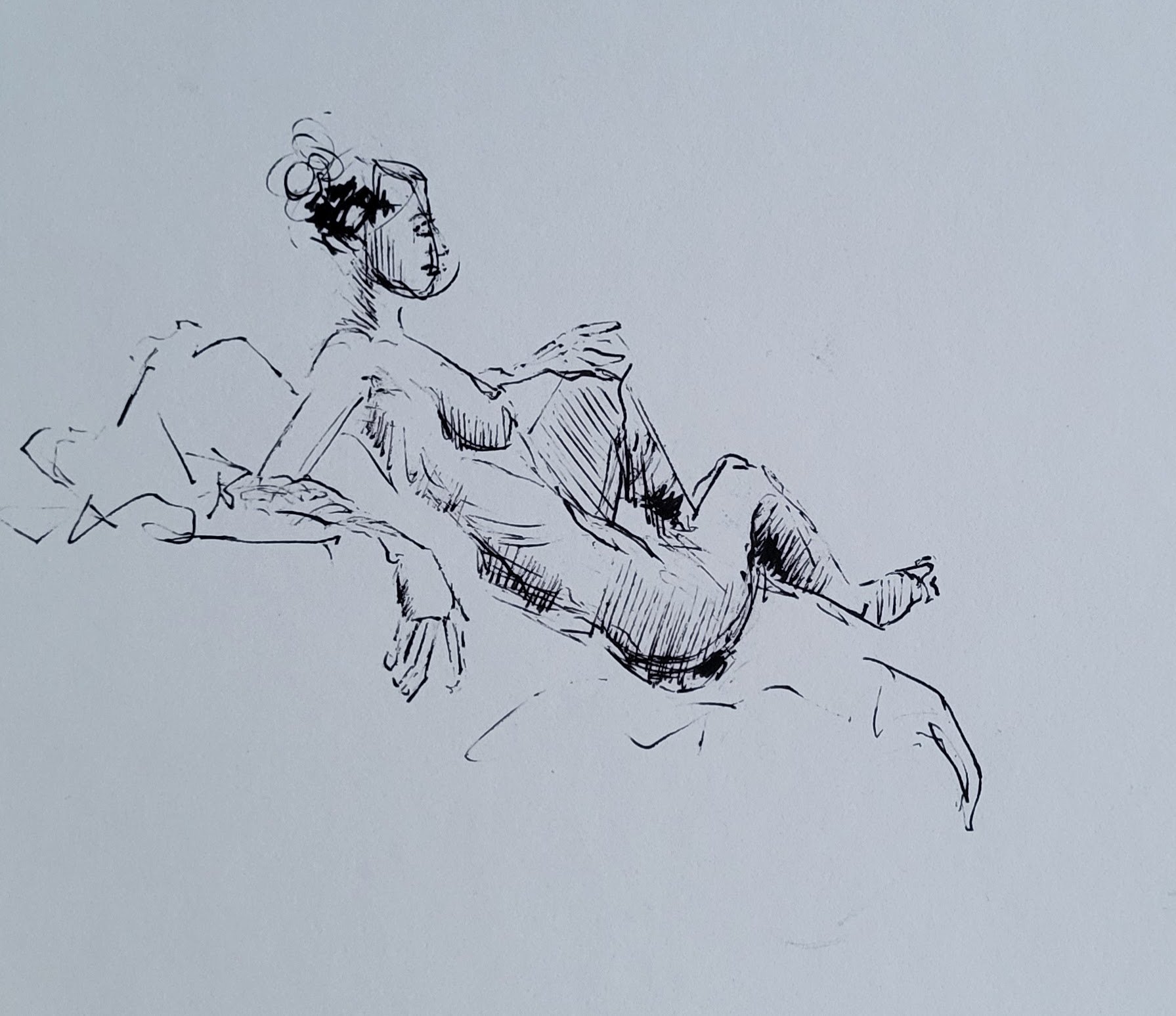ink_© 2026 Donna S Moore_20250104_163853.jpg