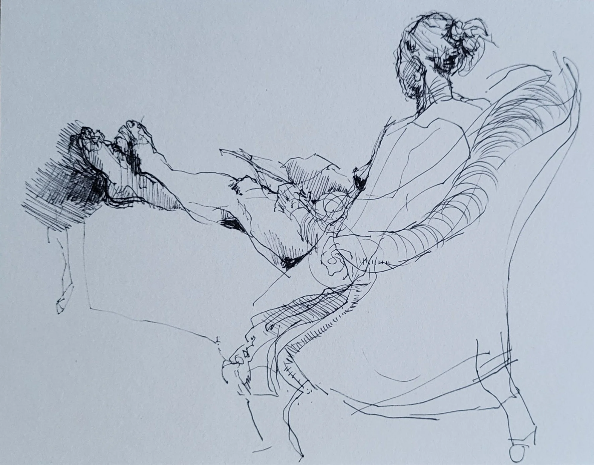ink_© 2026 Donna S Moore_20250104_163143.jpg