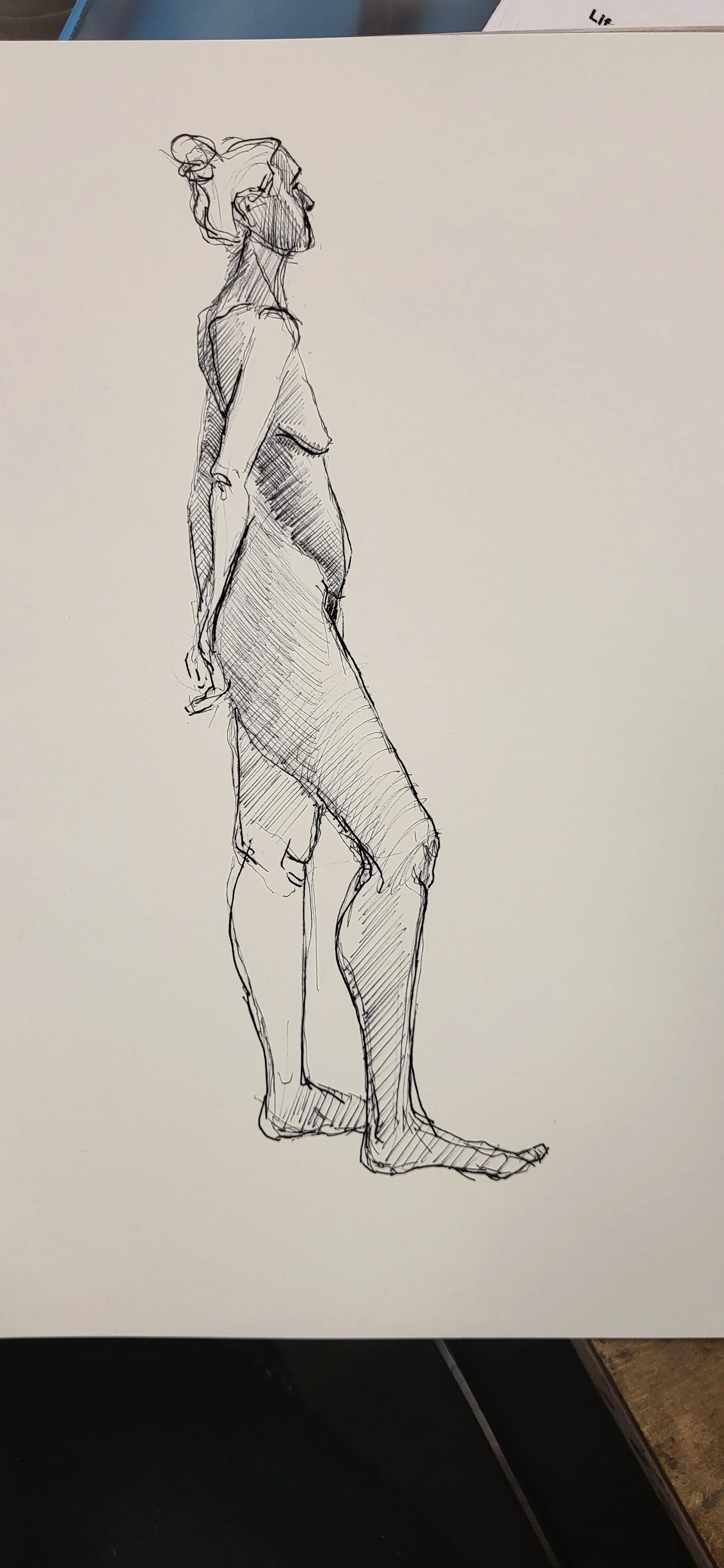 ink_© 2026 Donna S Moore_20240311_113950.jpg