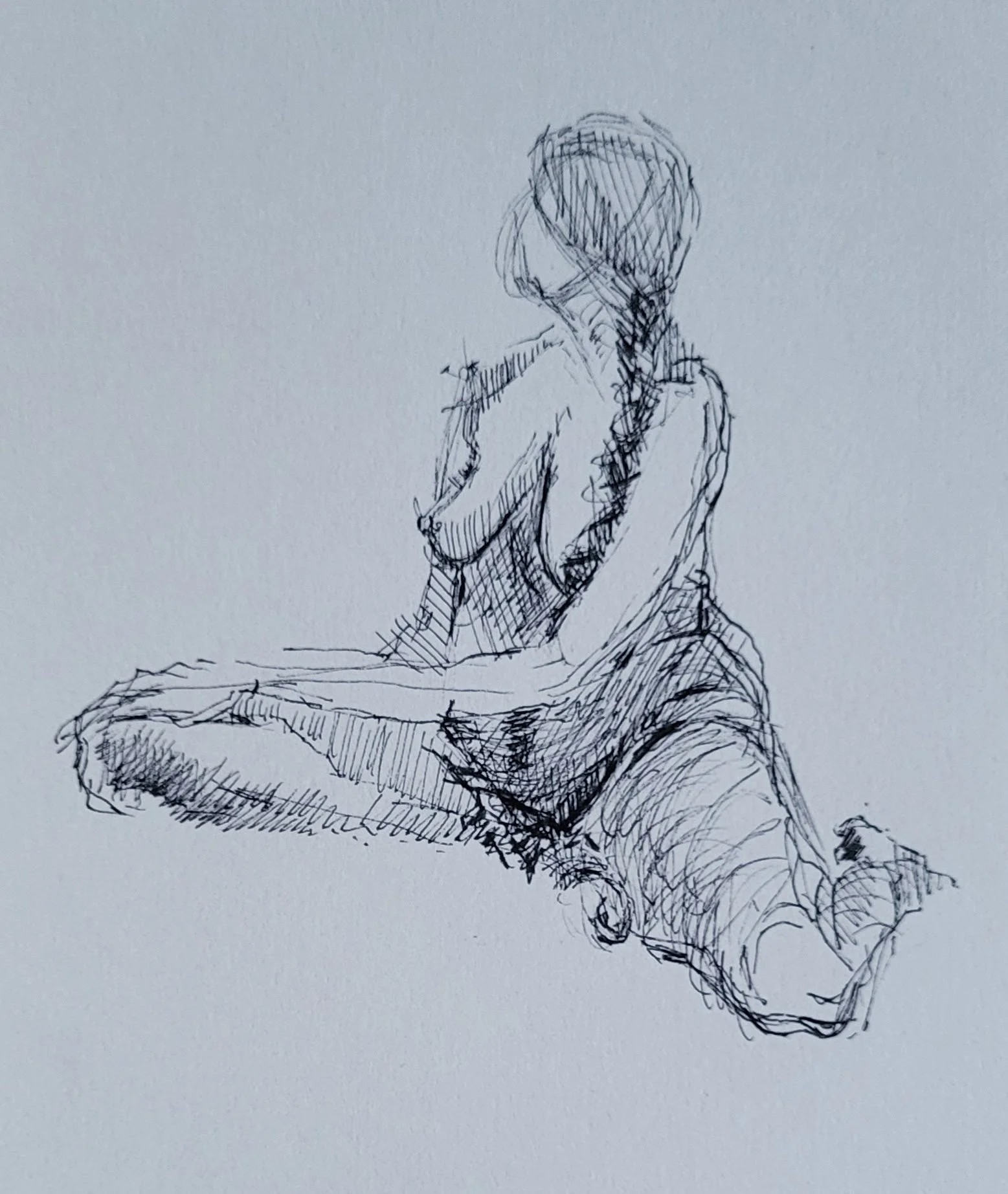 ink_© 2026 Donna S Moore_20250104_163128.jpg