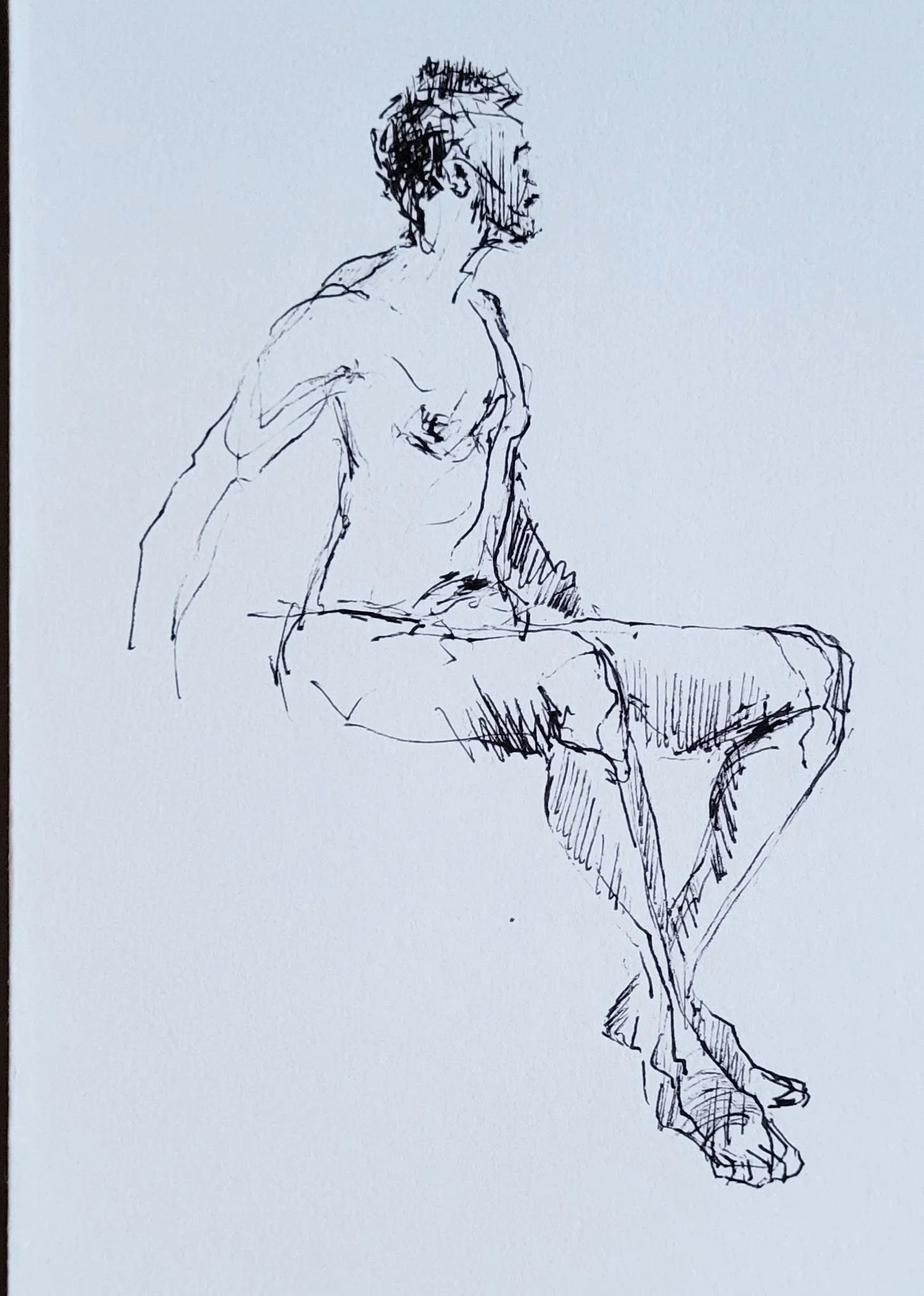 ink_© 2026 Donna S Moore_20250104_163234.jpg