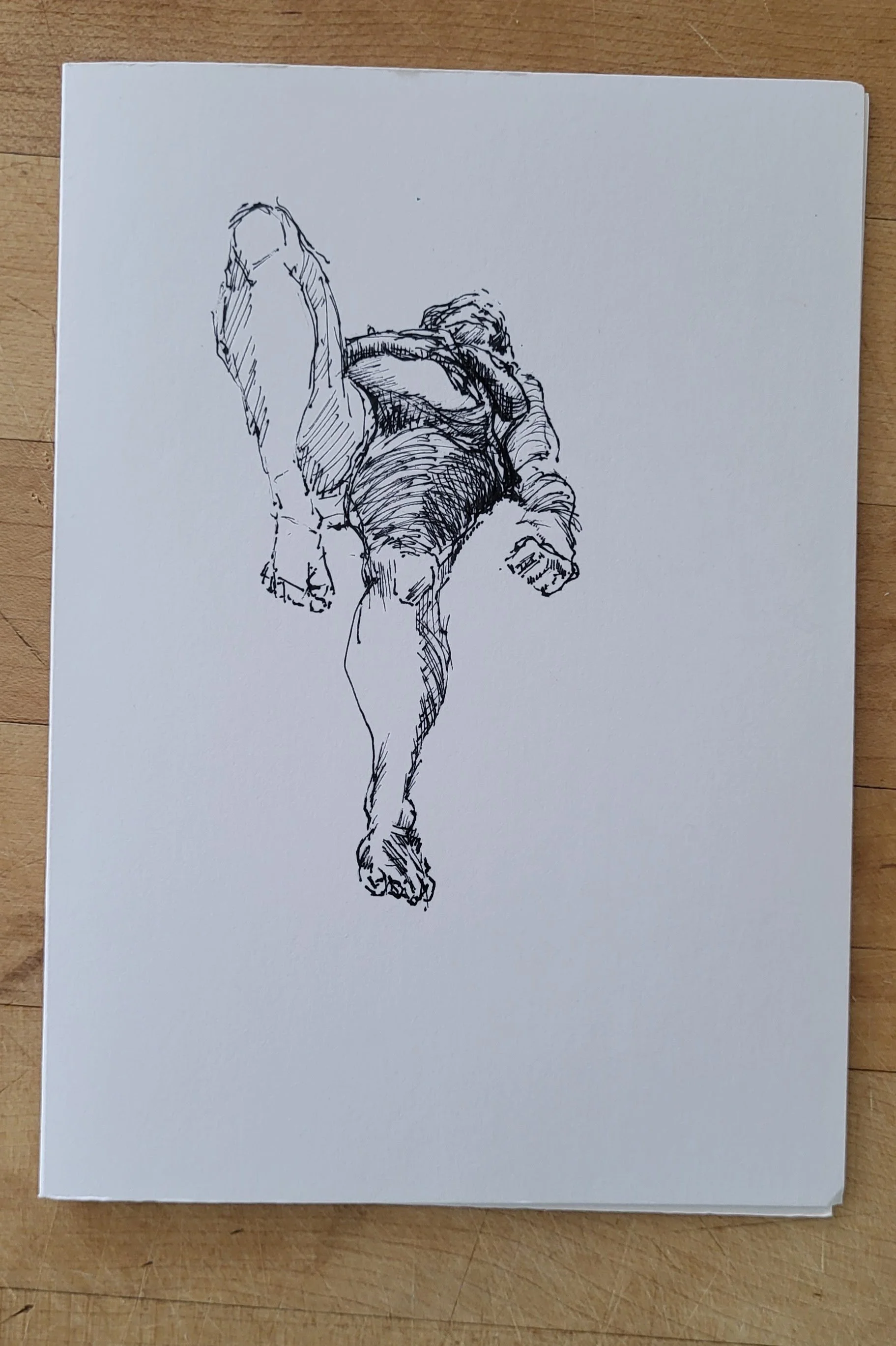 ink_© 2026 Donna S Moore_20250425_111959.jpg
