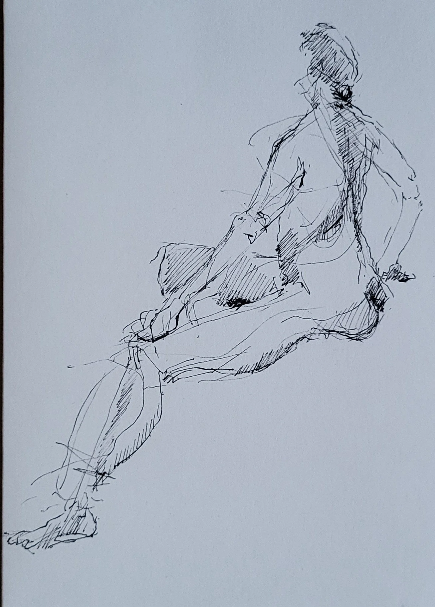 2ink_© 2026 Donna S Moore_0250104_163841~2.jpg