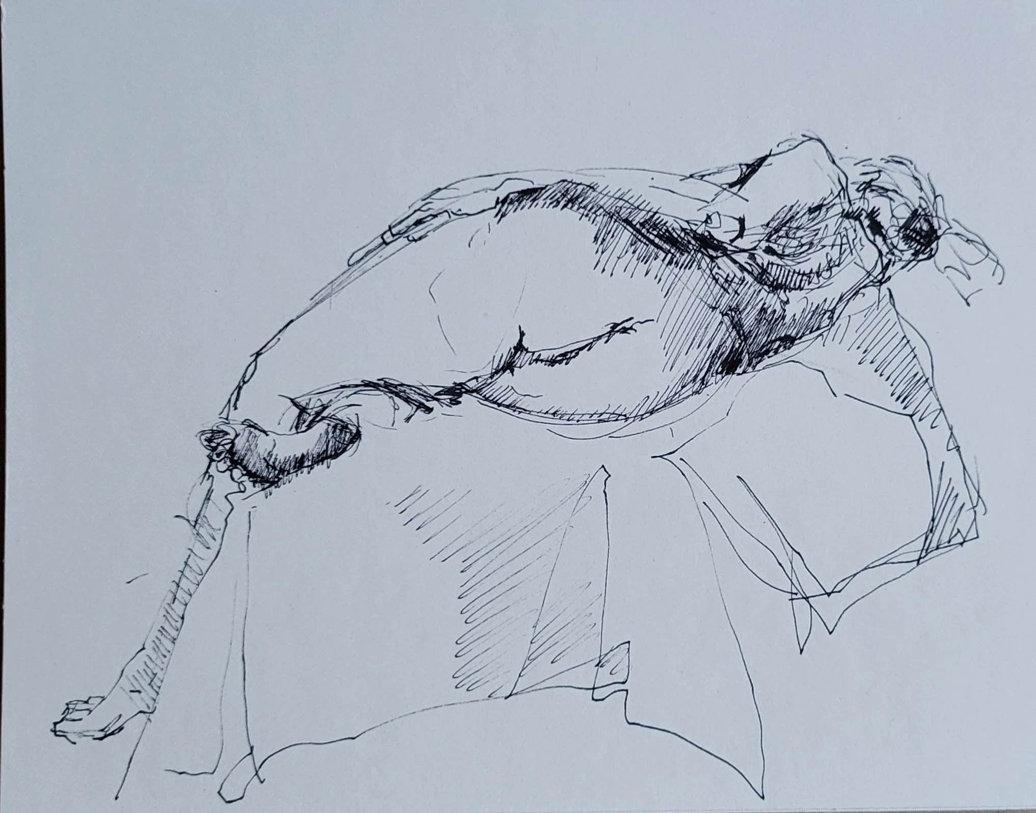 ink_© 2026 Donna S Moore_20250104_163811.jpg