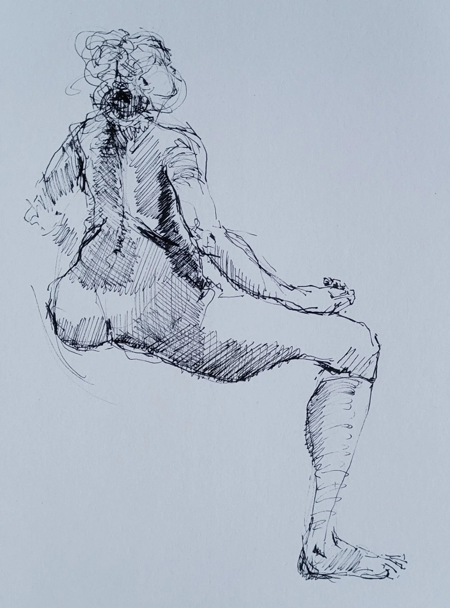 ink_© 2026 Donna S Moore_20250104_163830.jpg