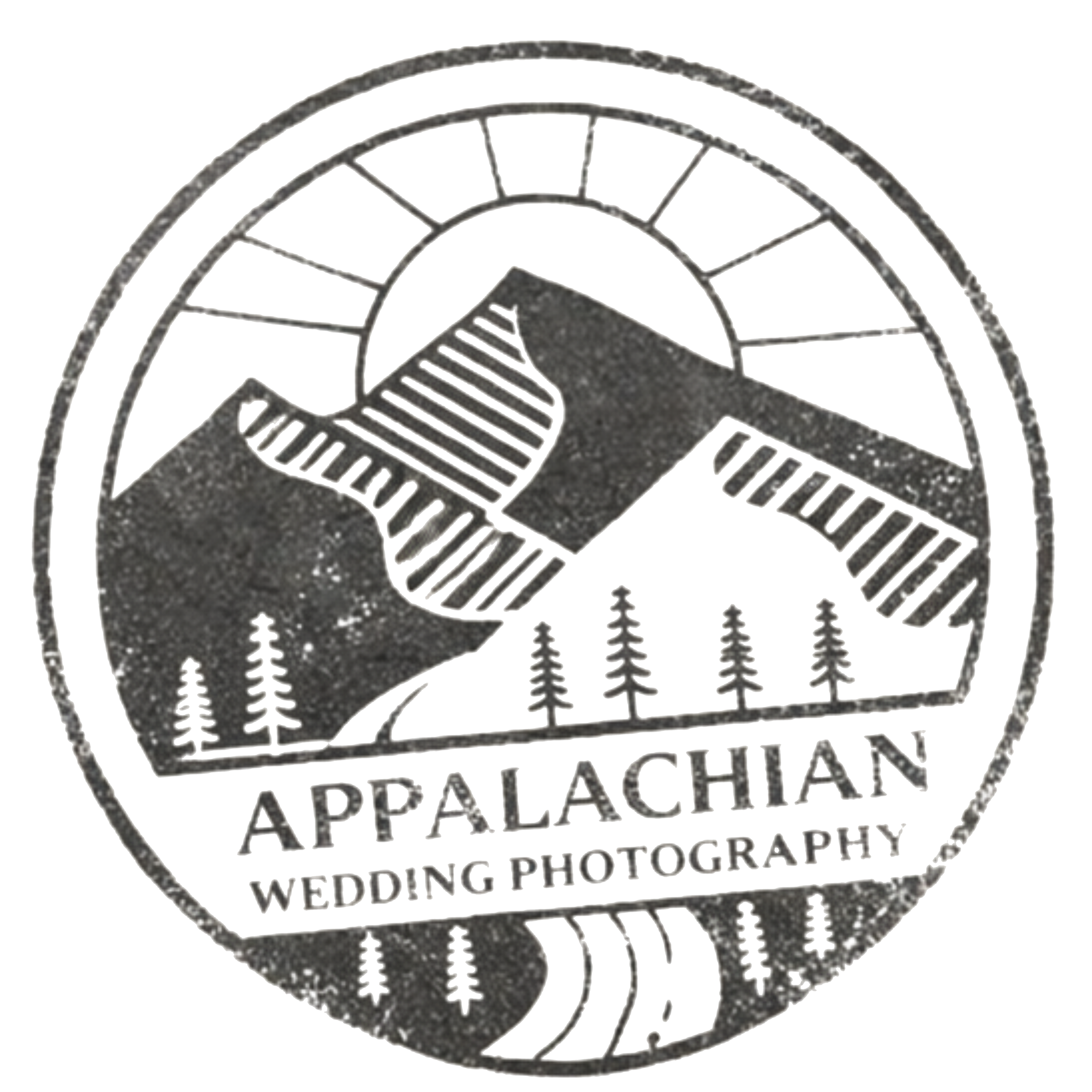 Close-up of a circular sticker or badge with a mountain and pine tree design about wedding photography and various services.