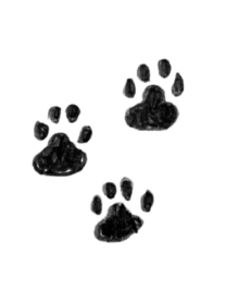 Three black paw prints on a black background.