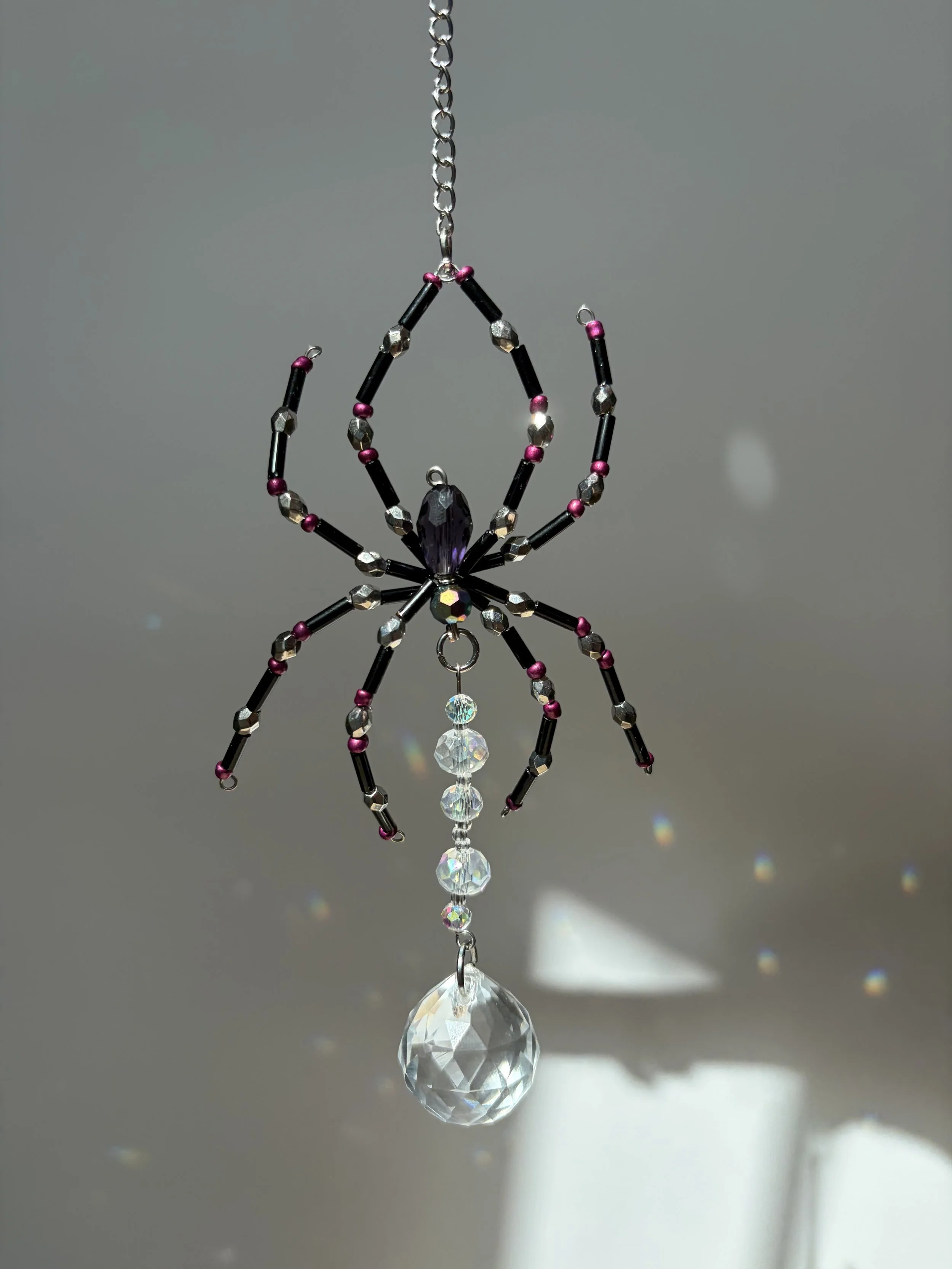 Dew Drop Spider