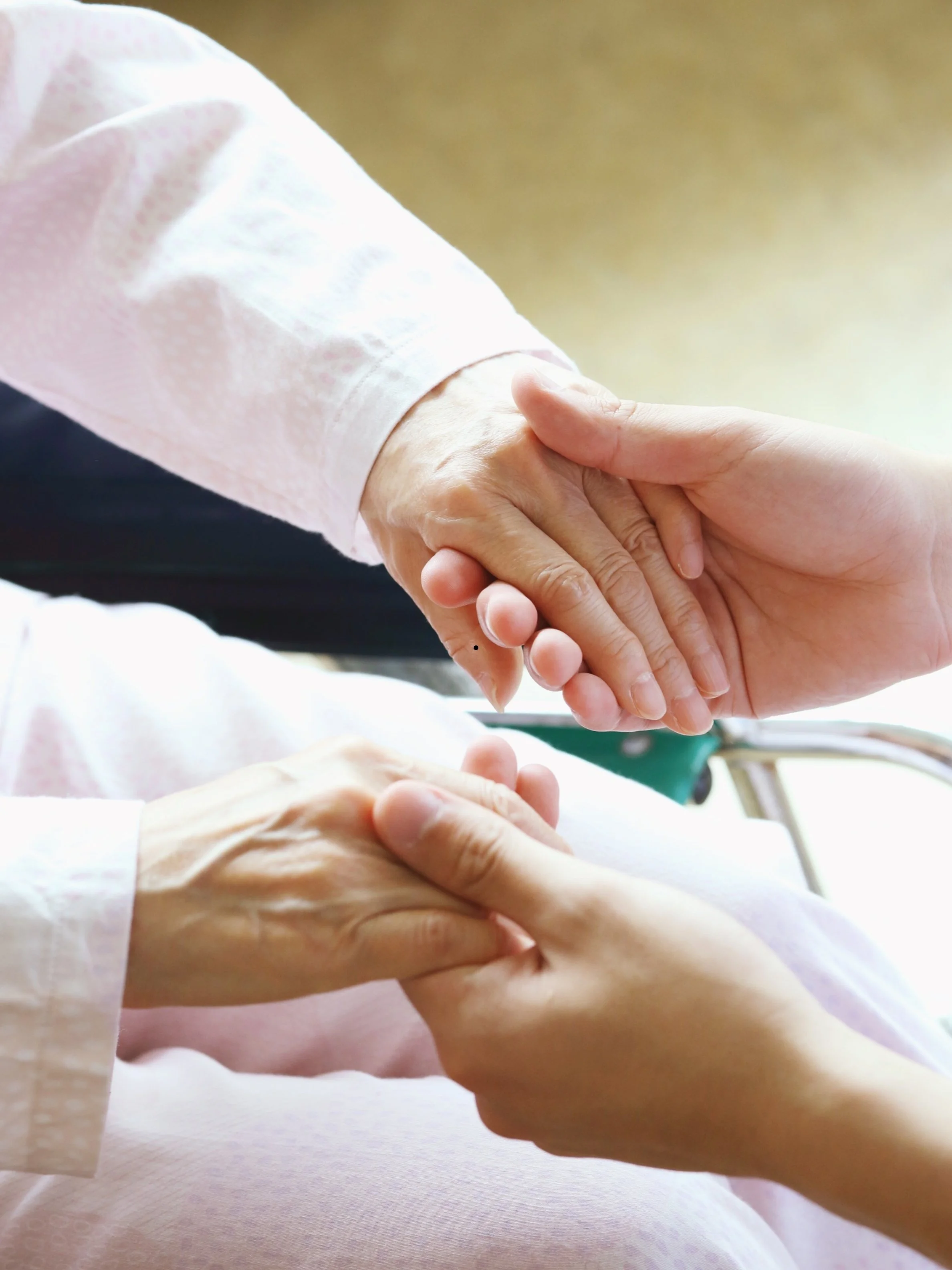 About AAHHC in Michigan