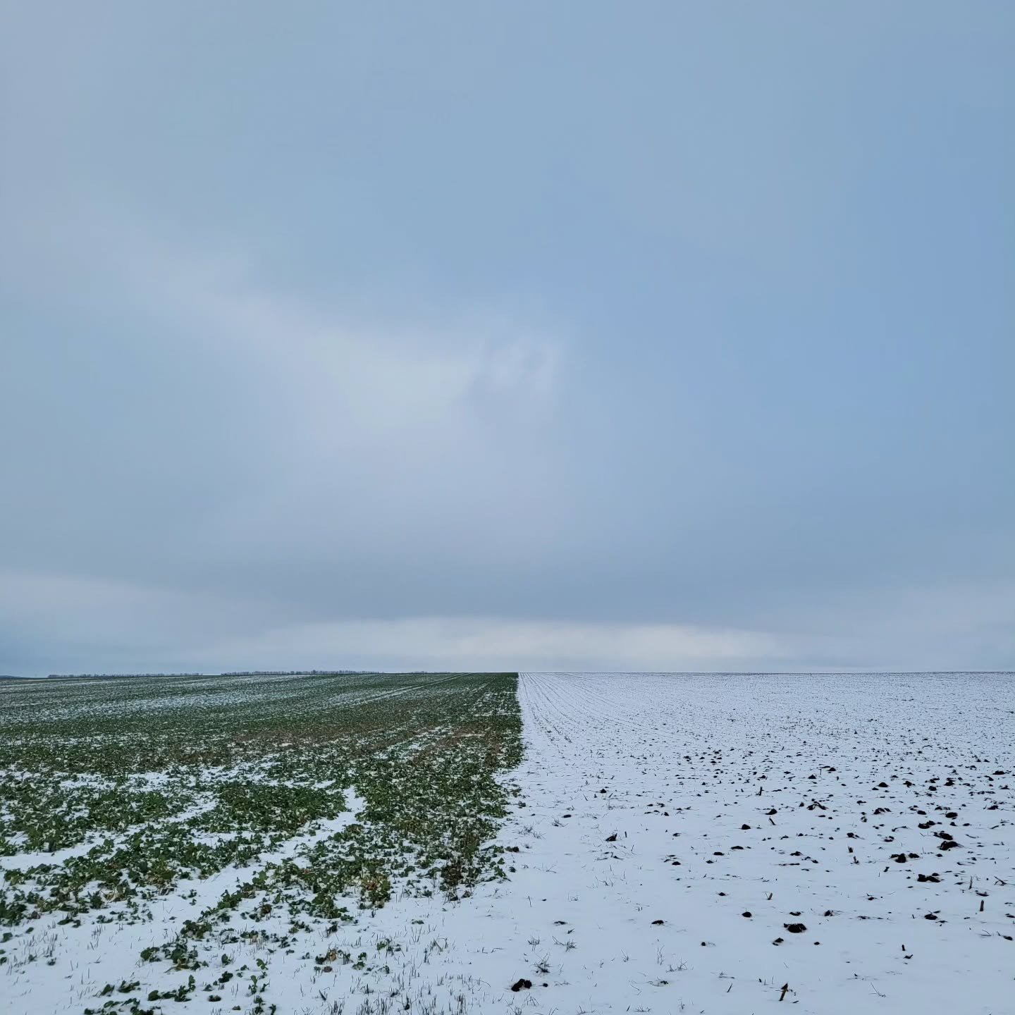 07.01.26 (neiges) _ 2026