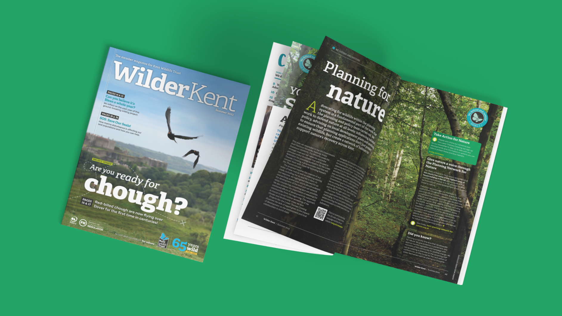 Two flat lays of a wildlife magazine on a green background