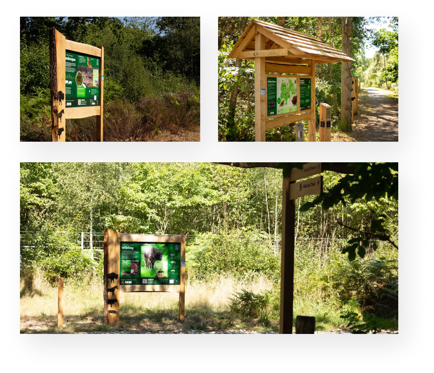 Three informational signs about wildlife and ecosystems in a forested area, with trees and sunny weather.