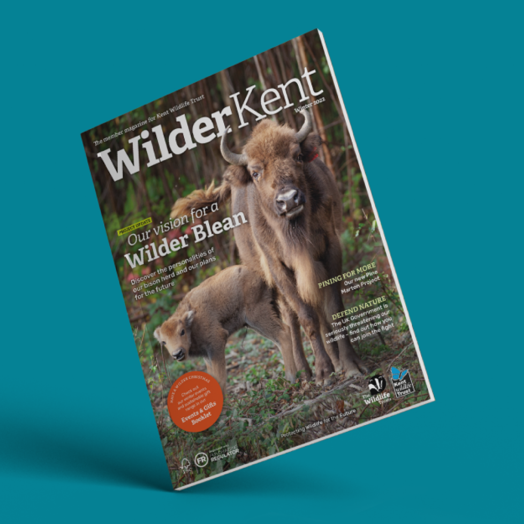 Magazine mock up