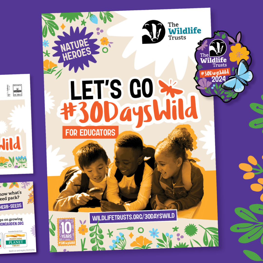 The Wildlife Trusts 30 Days Wild