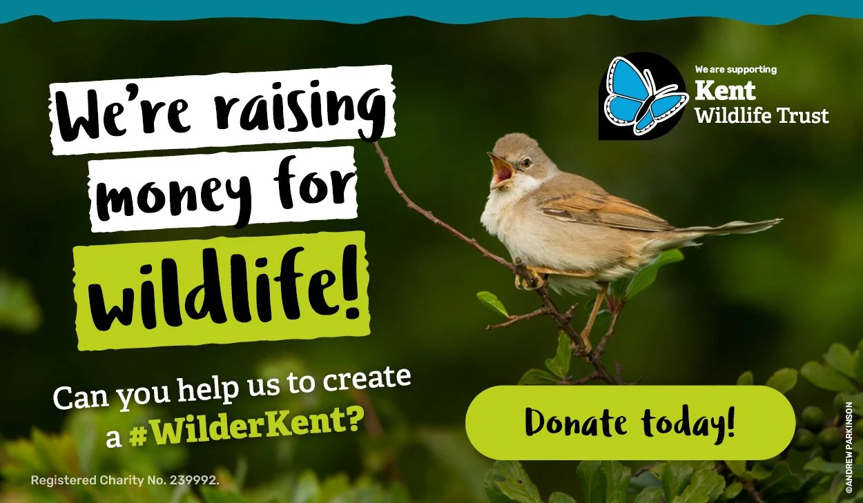 KWT Fundraising Email Banner.jpg