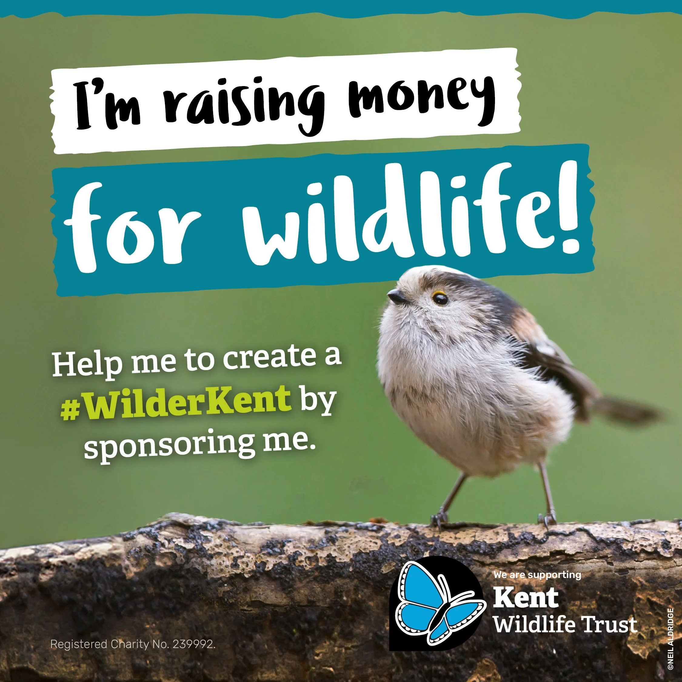 KWT Fundraising Social Graphic Option 1.jpg