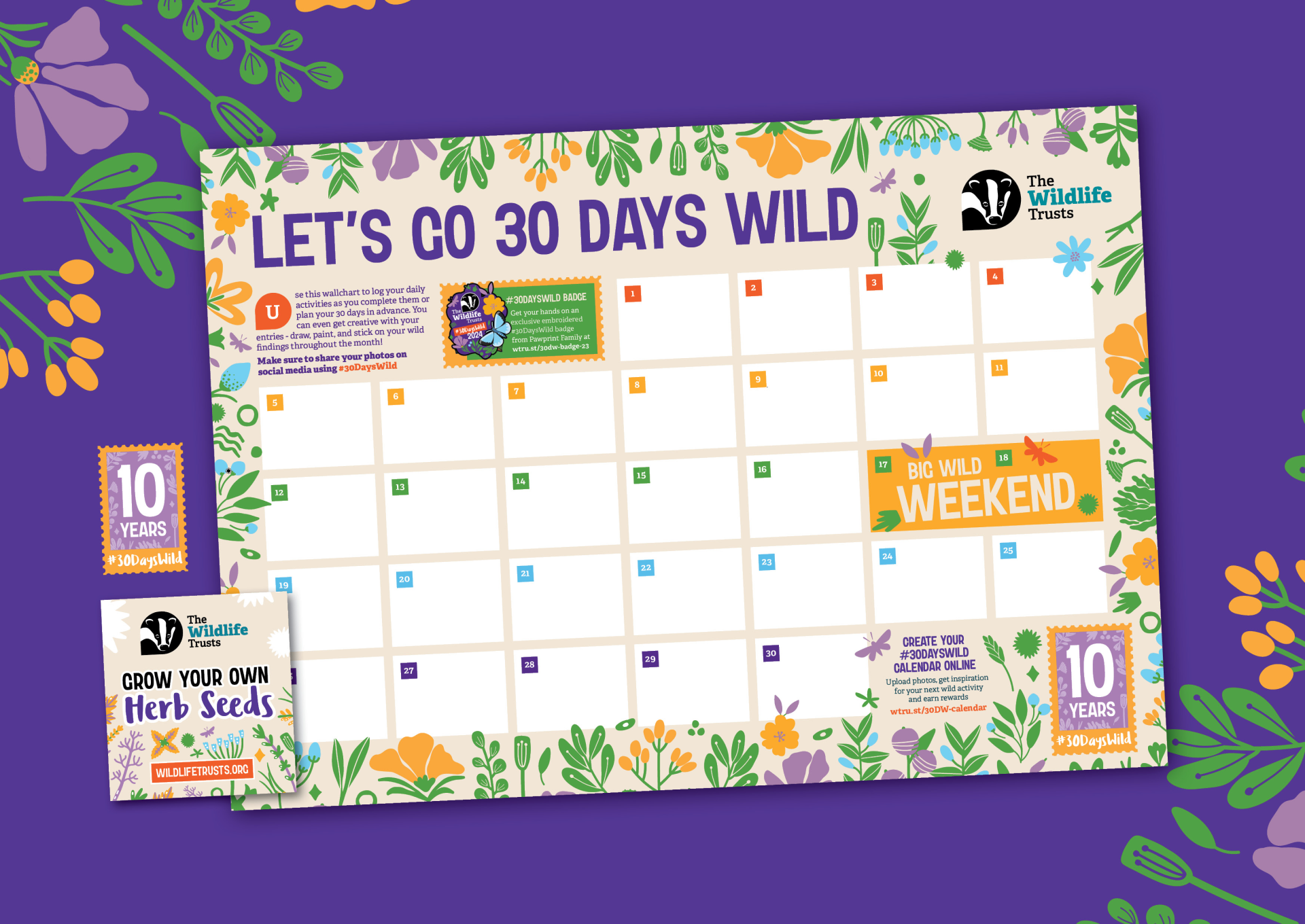 Mock up of 30 days wild activity tracker