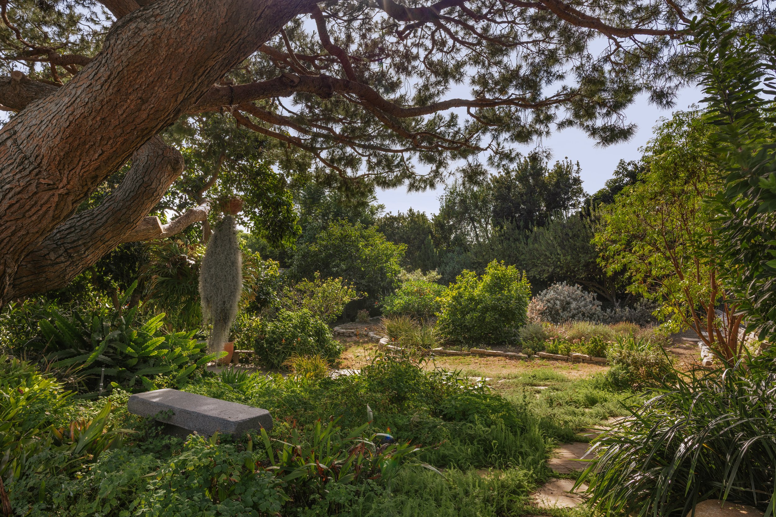 _L5A0285-Edit.jpg