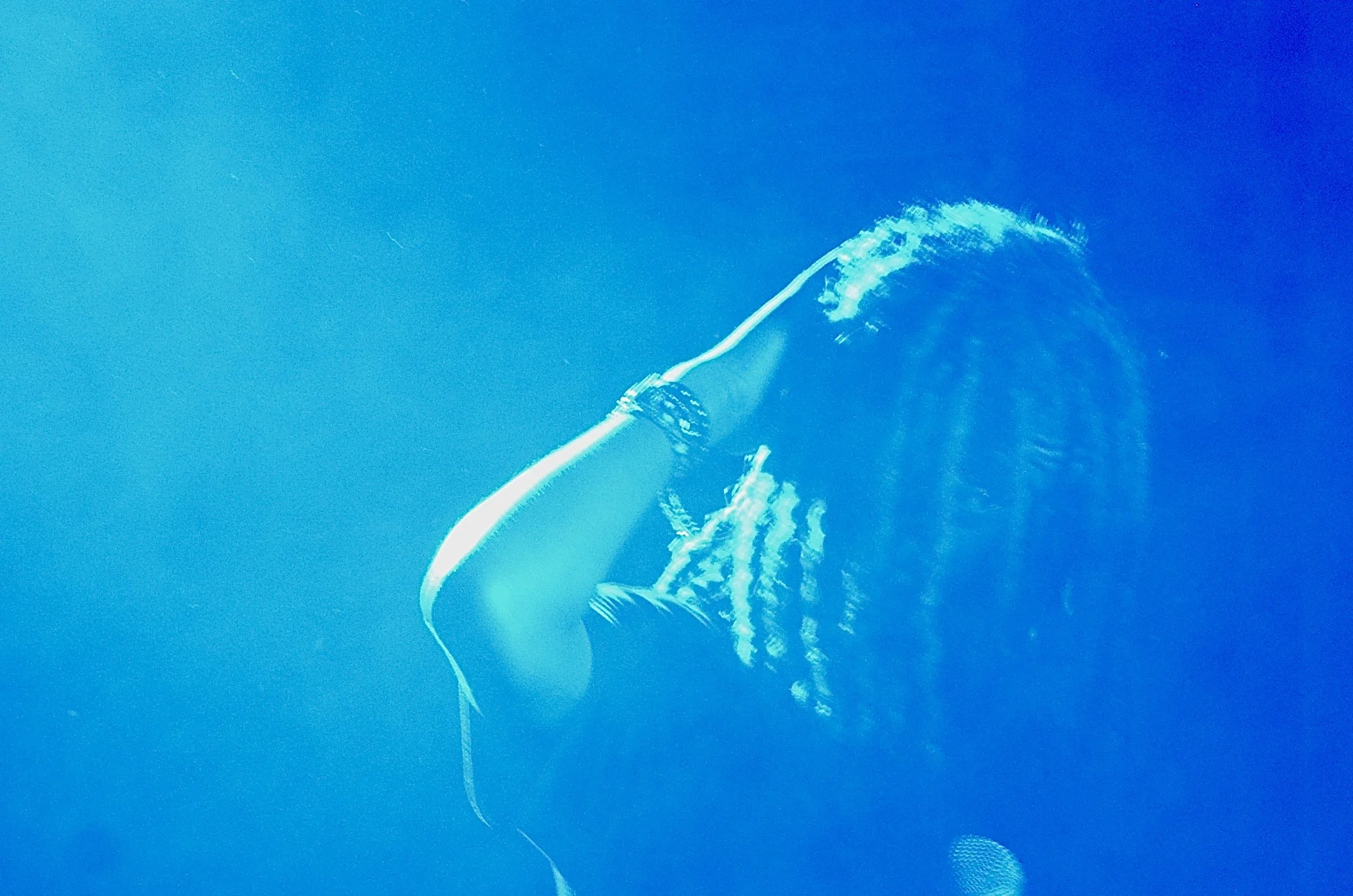 shot by: picsbyjai