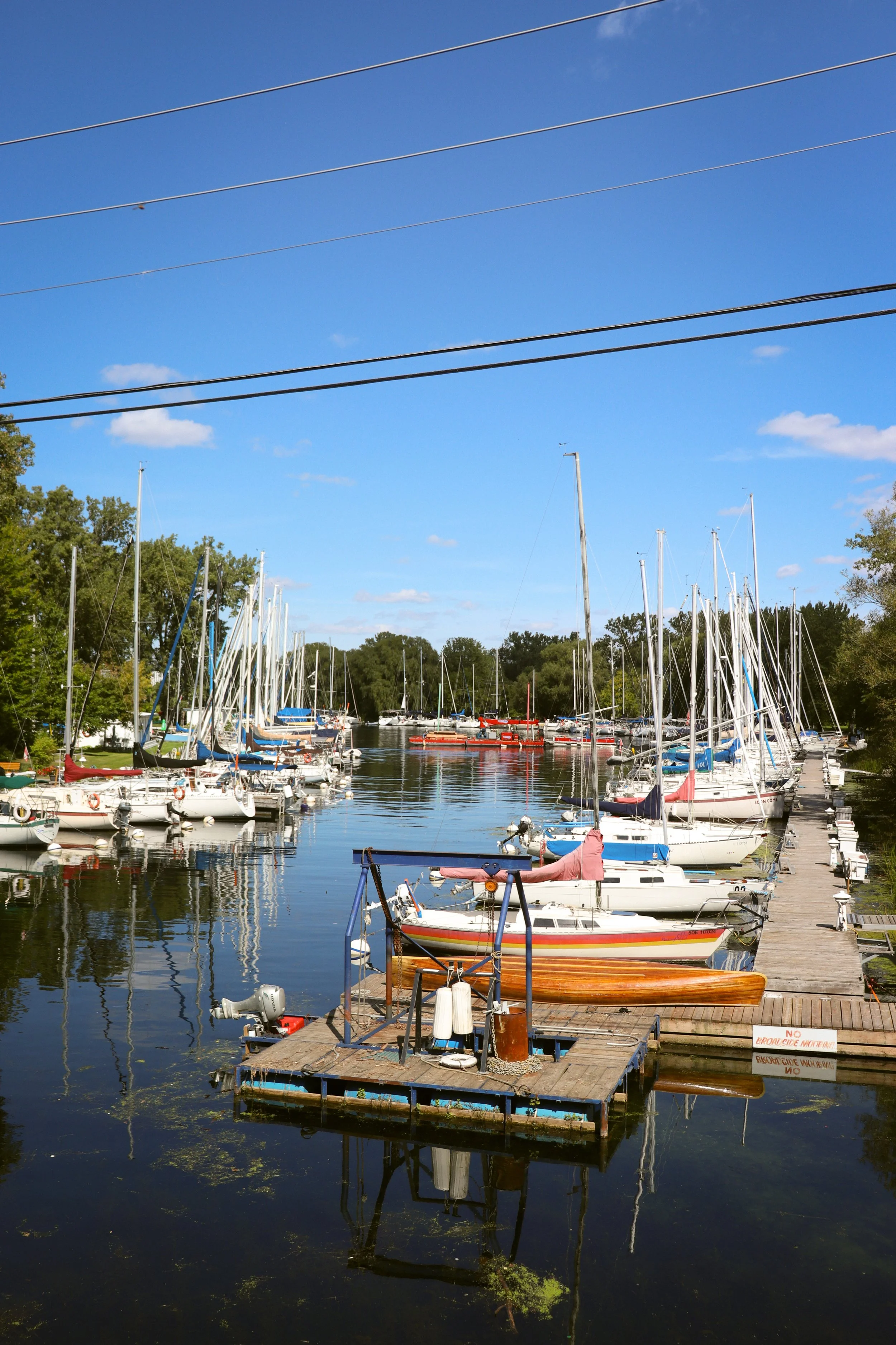 IMG_2740.jpg