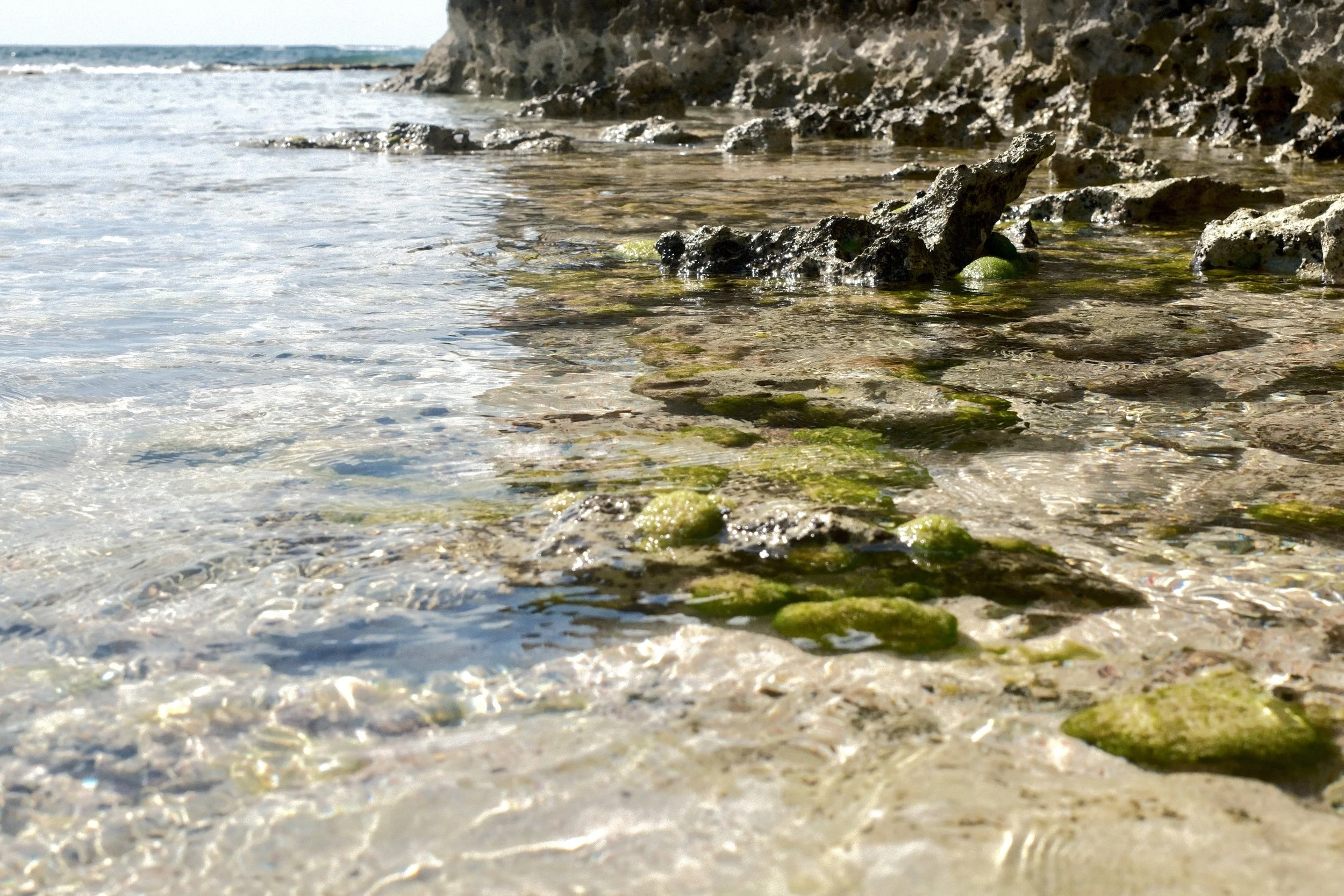 DSCF0117.jpg