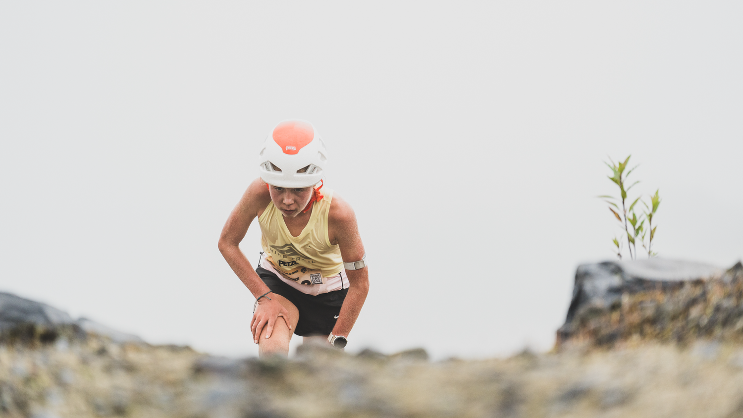 KM Vertical 5
