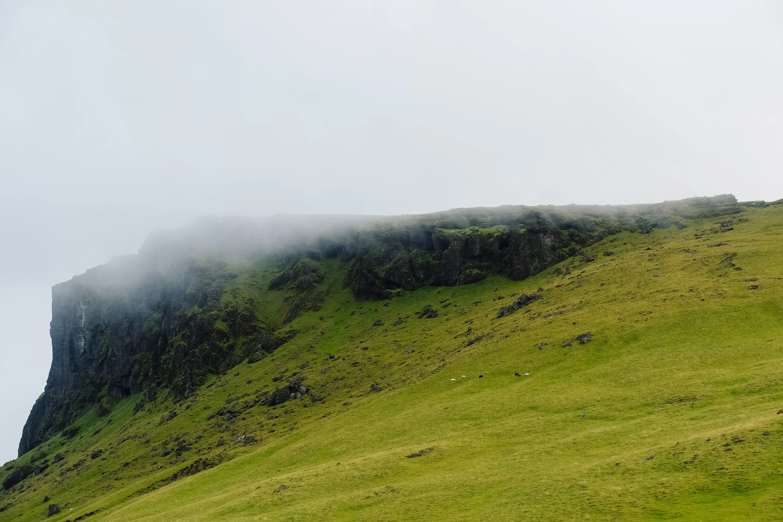 DSCF5648.jpg
