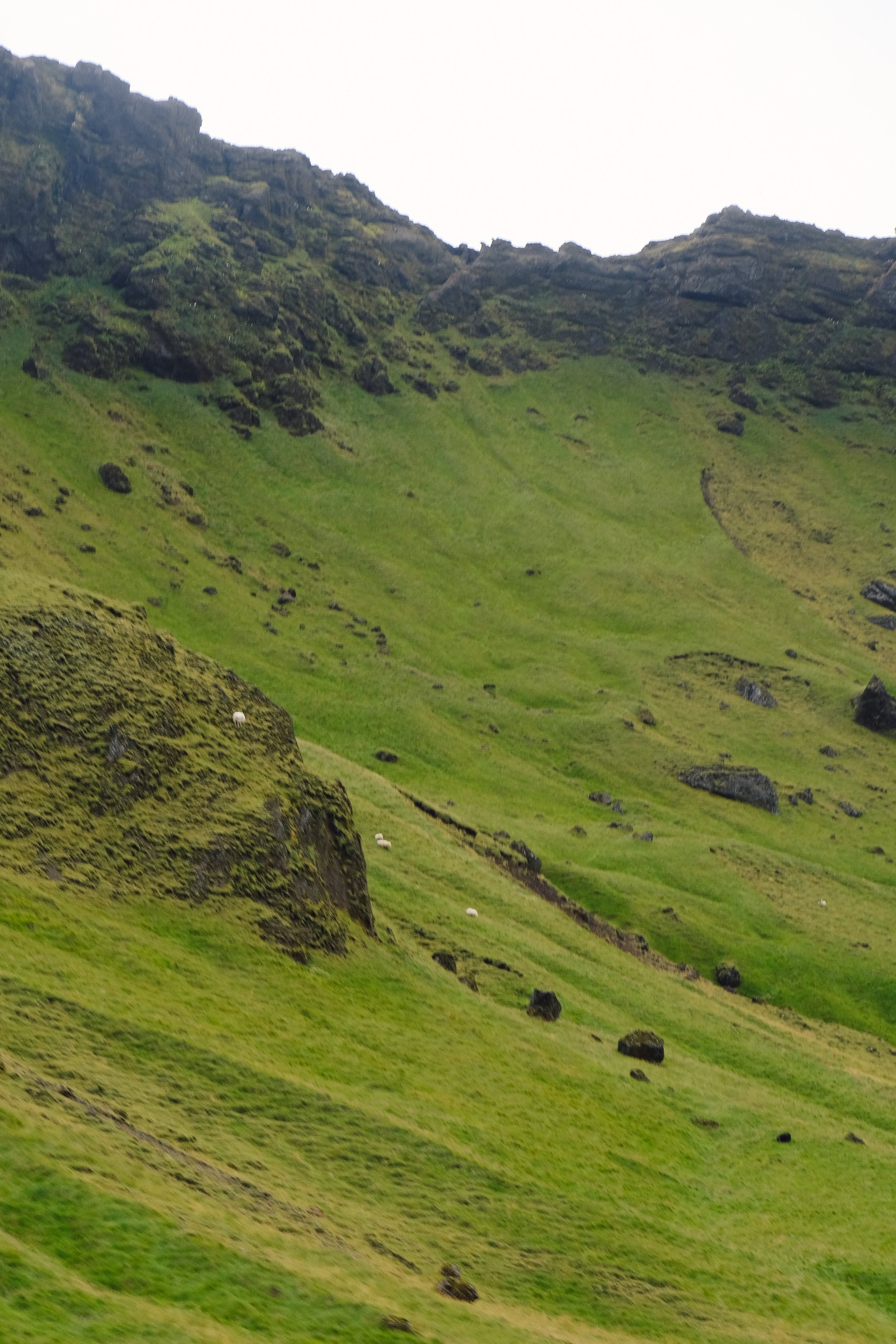 DSCF5650.jpg