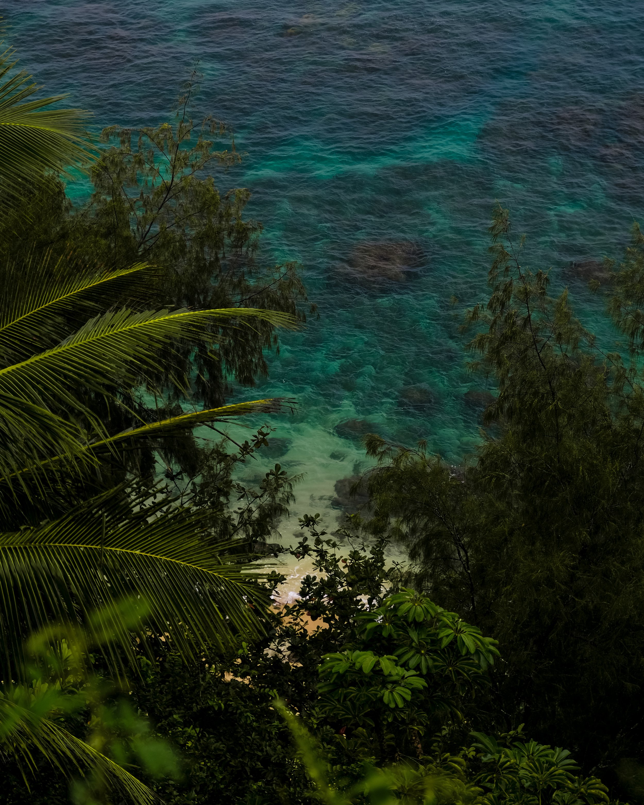 DSCF8646.jpg
