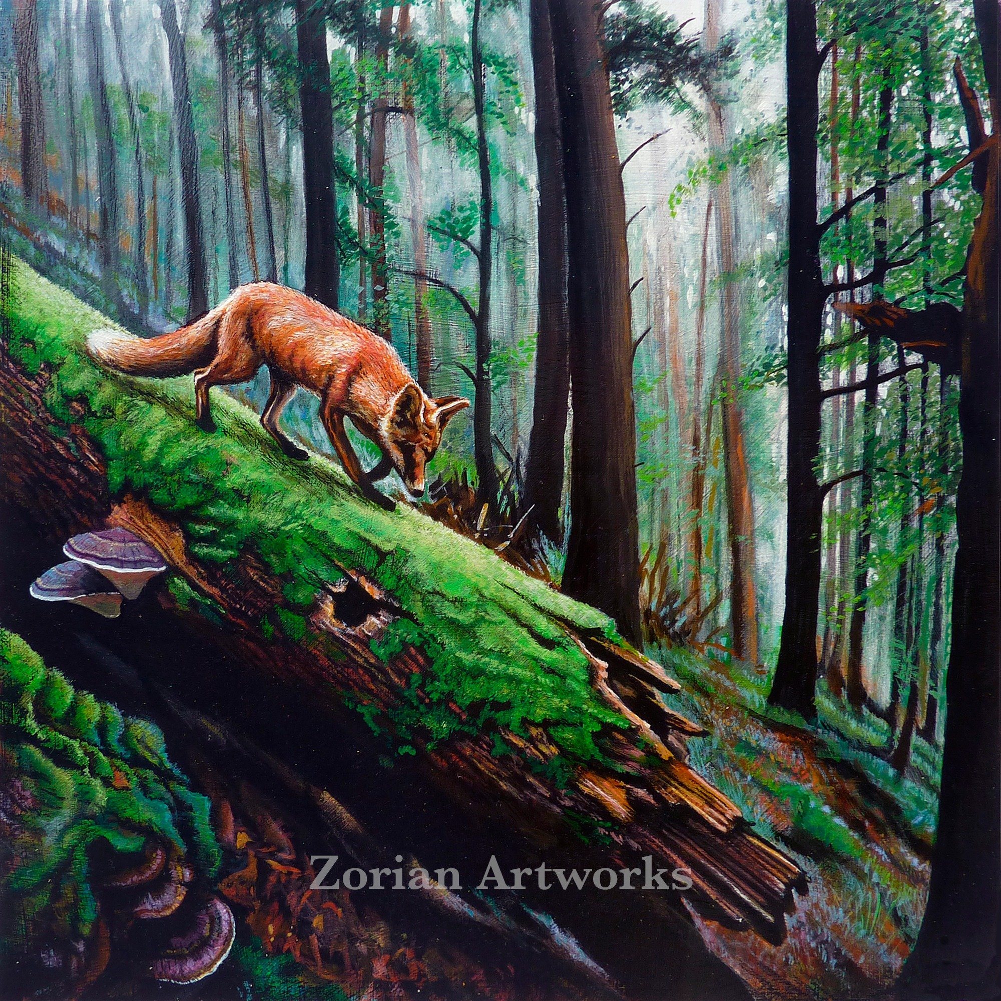 Fox in the Woods
