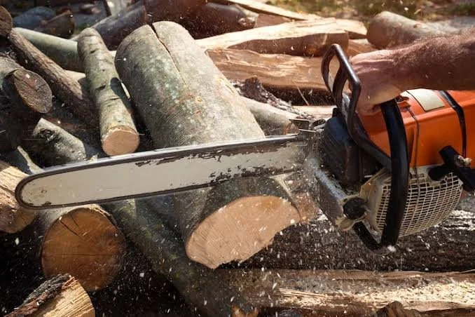 Choosing (and Keeping) a Chainsaw on the Finca