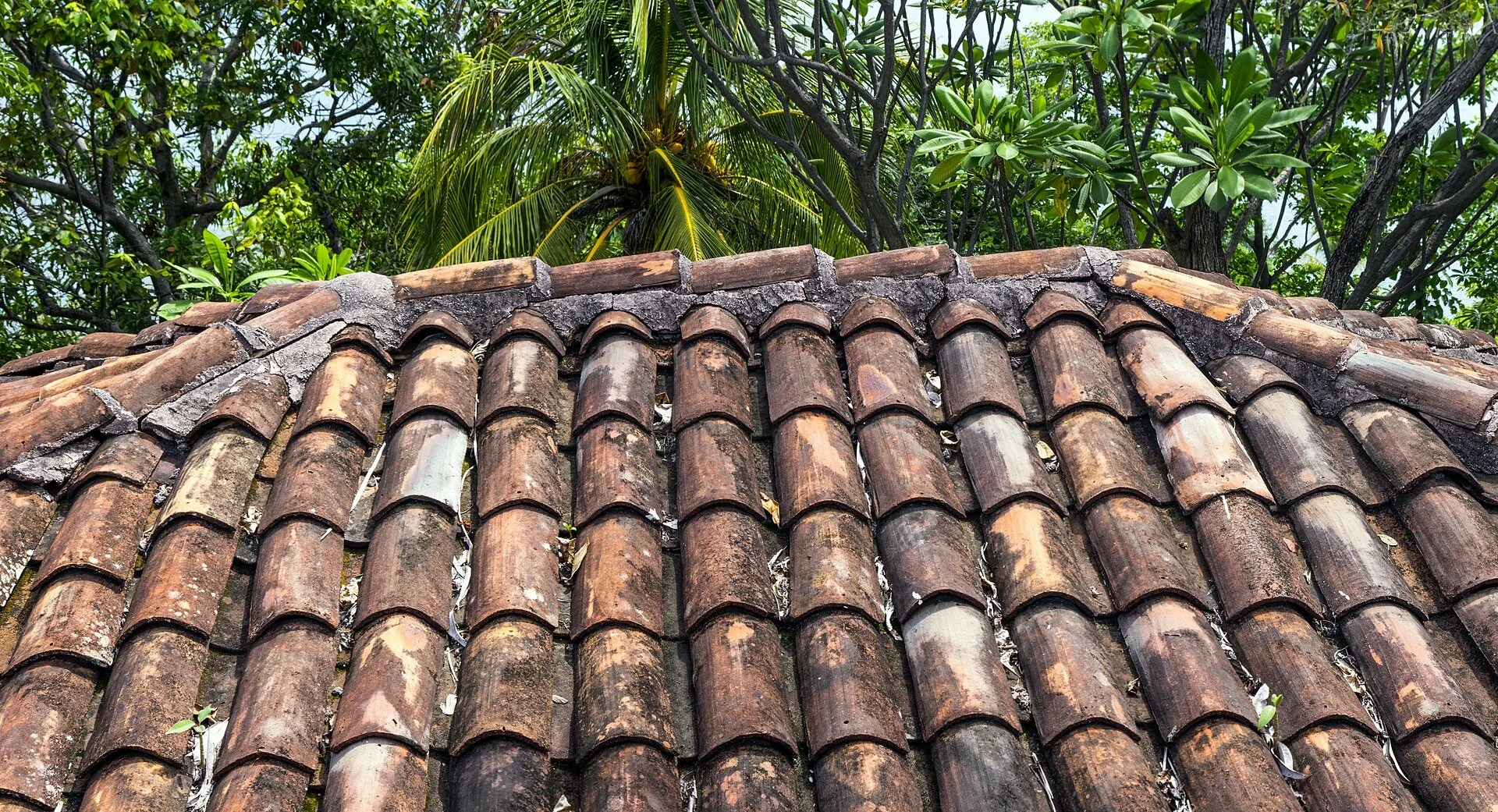 What's Over Your Head: Choosing a Roof That Works Here