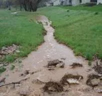 What the Rain Reveals