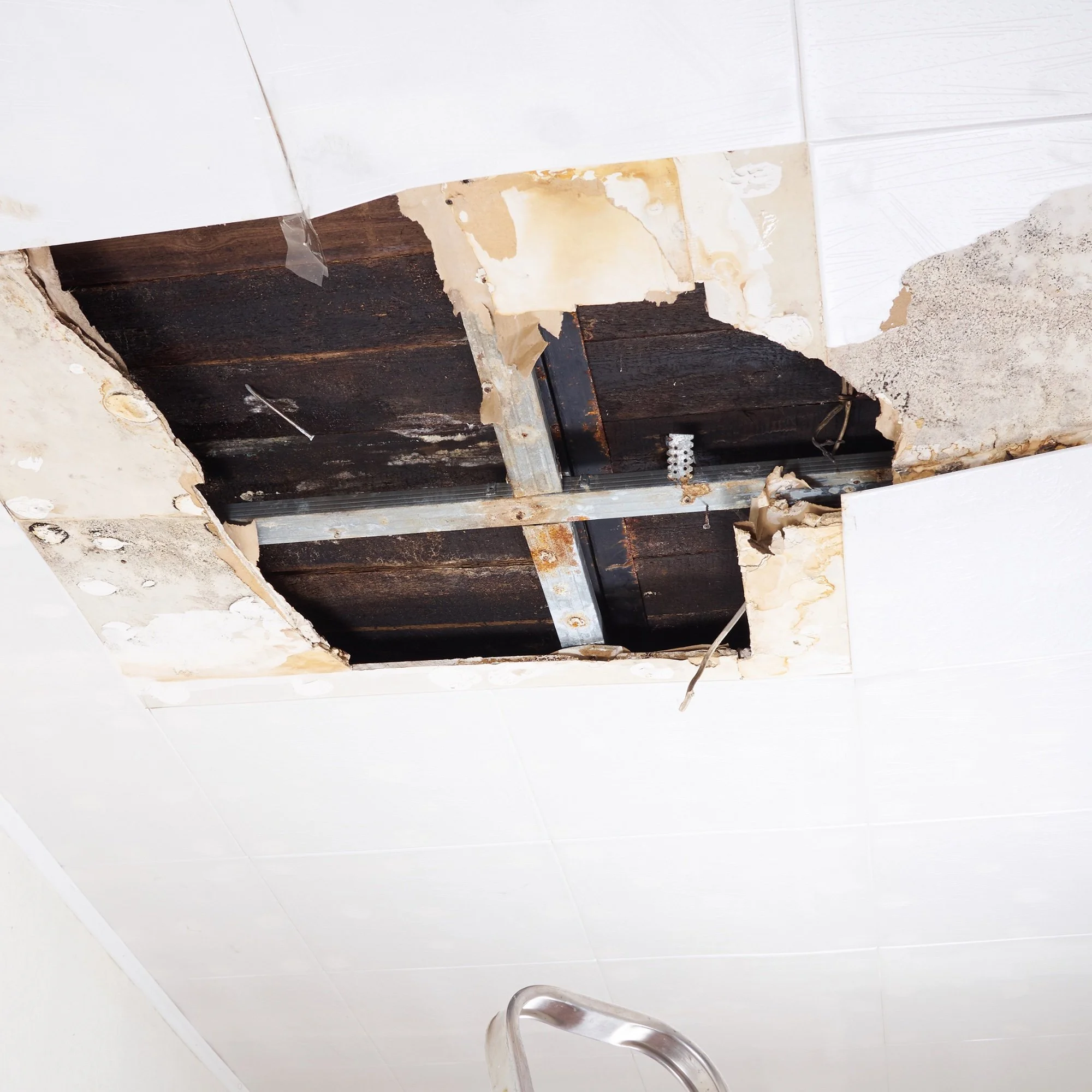 Ceiling with missing tiles exposing wooden beams and insulation, with a small part of a metal ladder or handle visible at the bottom