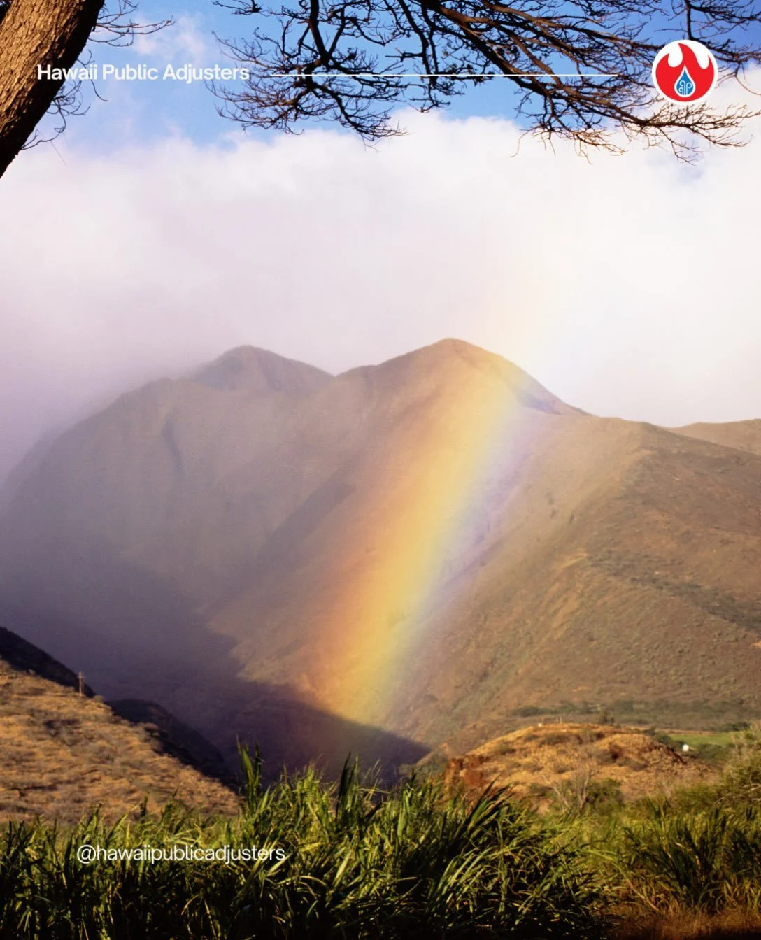 We offer Expert Insurance Claims Support throughout the Hawaiian islands. Call us today to learn more
(808) 856-3041