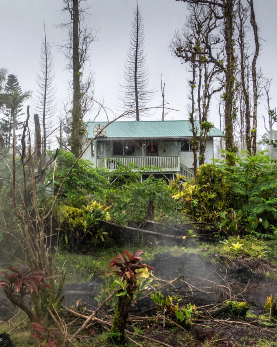 A house with a teal metal roof and a balcony, surrounded by burnt trees and scorched ground, indicating fire damage, with gray sky in the background.