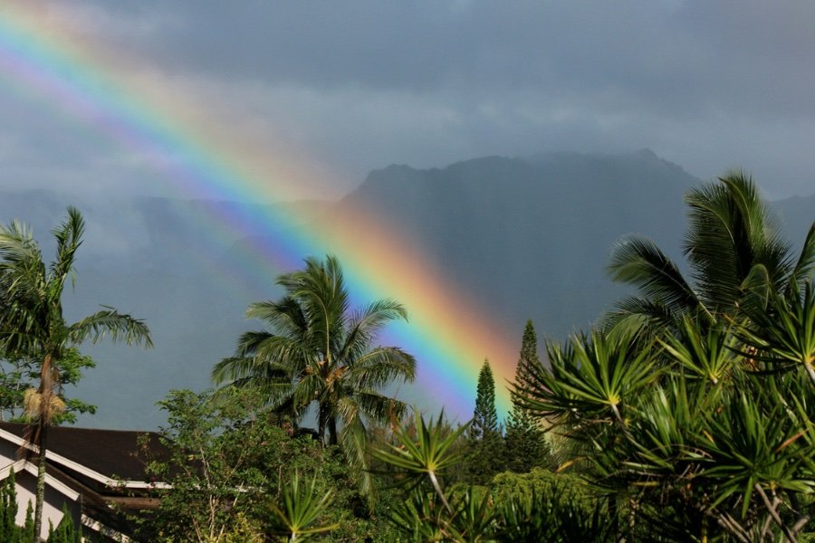 Rainbow over a lush tropical landscape with palm trees and mountains in the background.