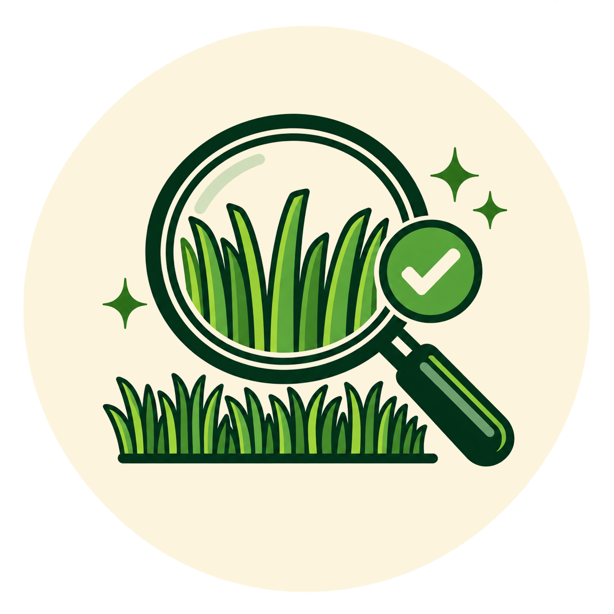 Icon showing a magnifying glass to represent inspecting and assessing turf for condition and to recommend treatment.