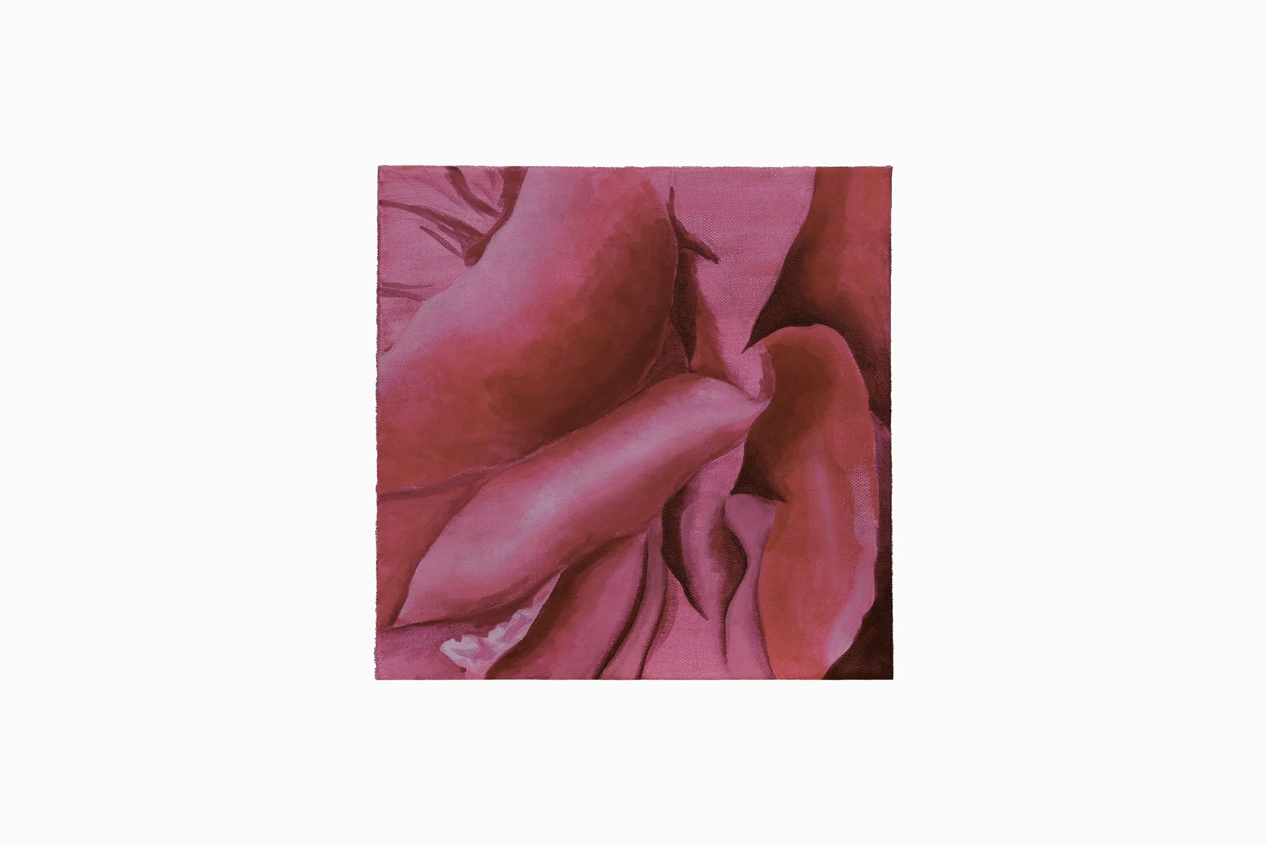 Tissue Paper Flower