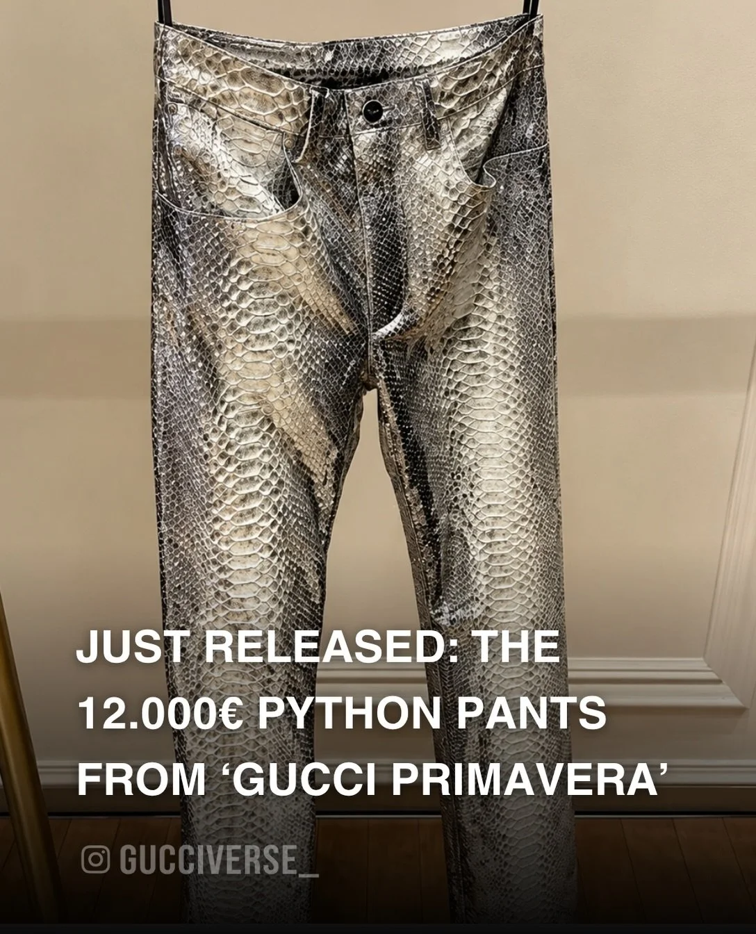 gucciverse__1789988728_3991036962818209429_48773225134.jpg