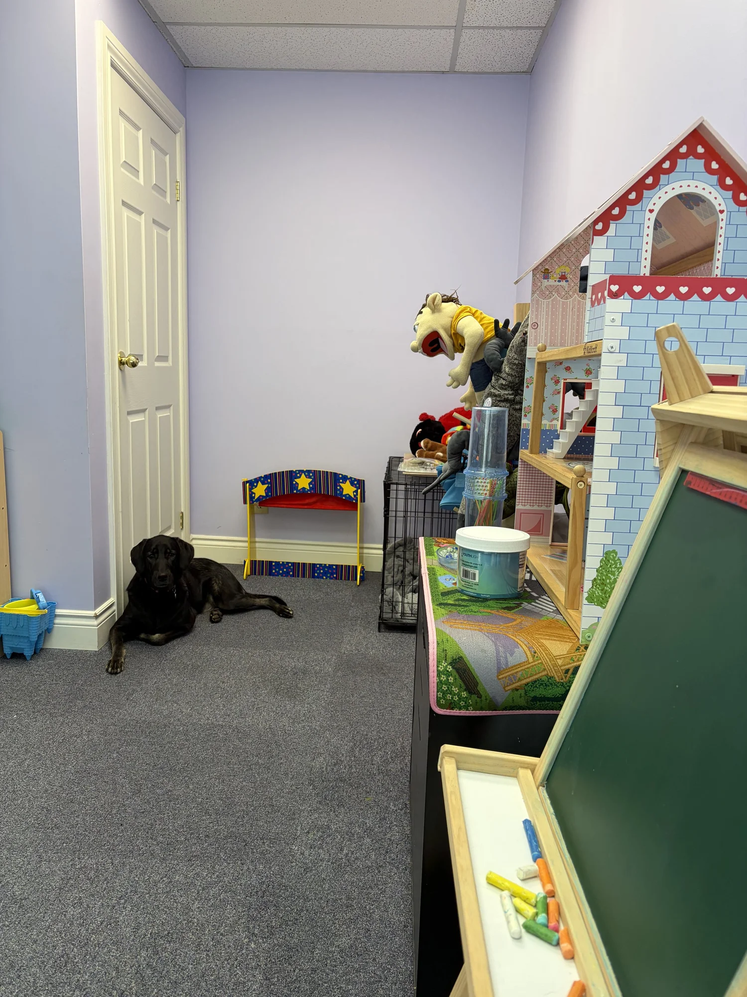 Toys and play materials in Riverway's play room