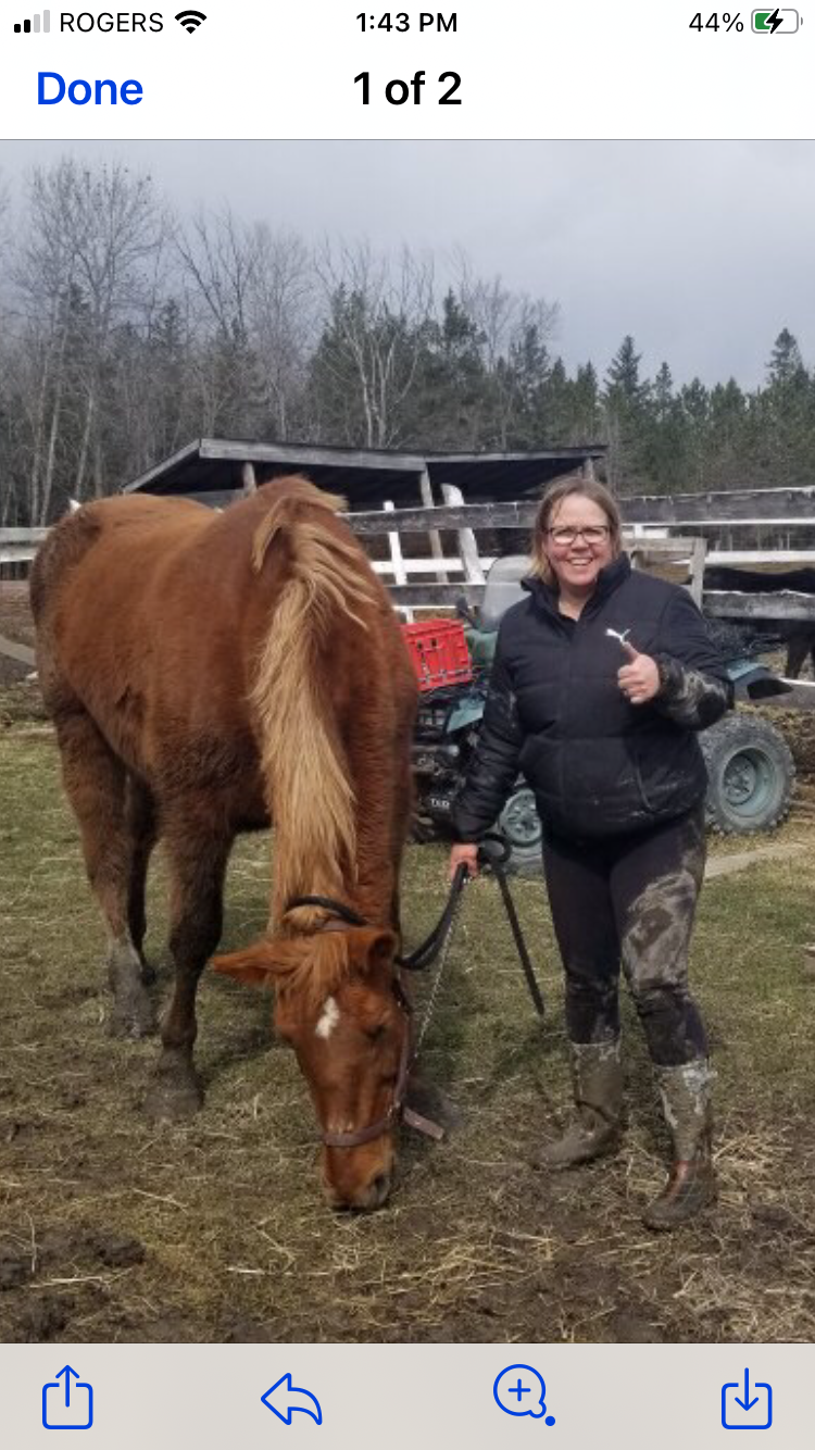 Sue McDermid with a horse - Riverway Therapy, North Bay